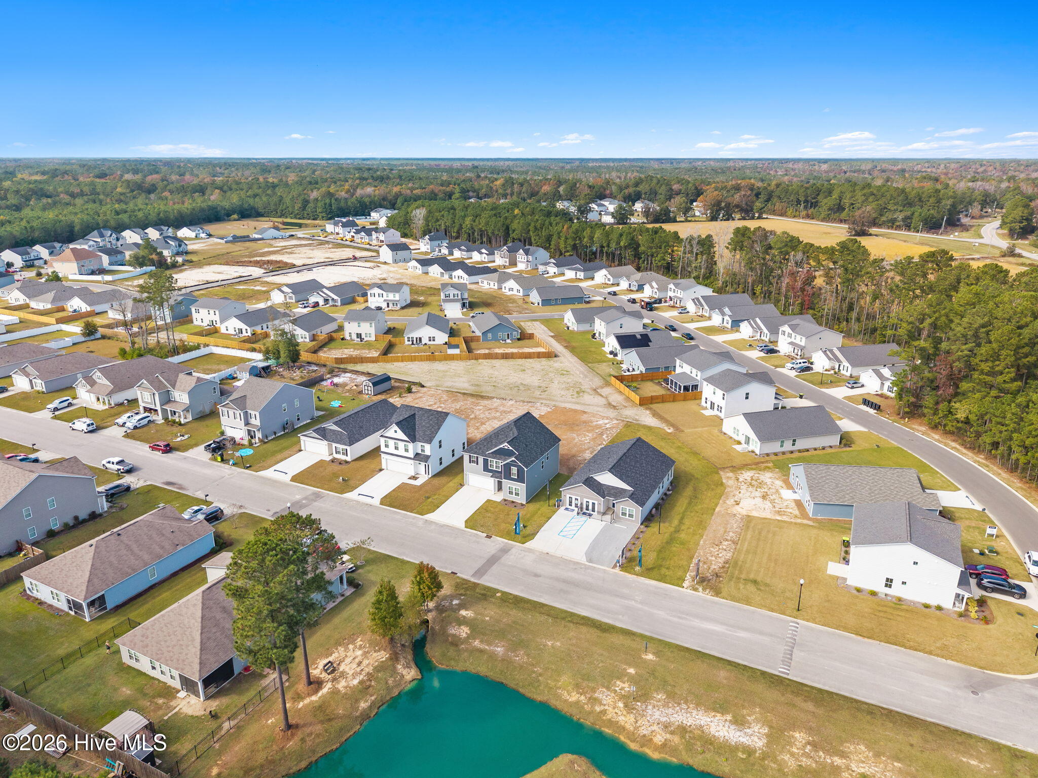 100506645 | Photo 51