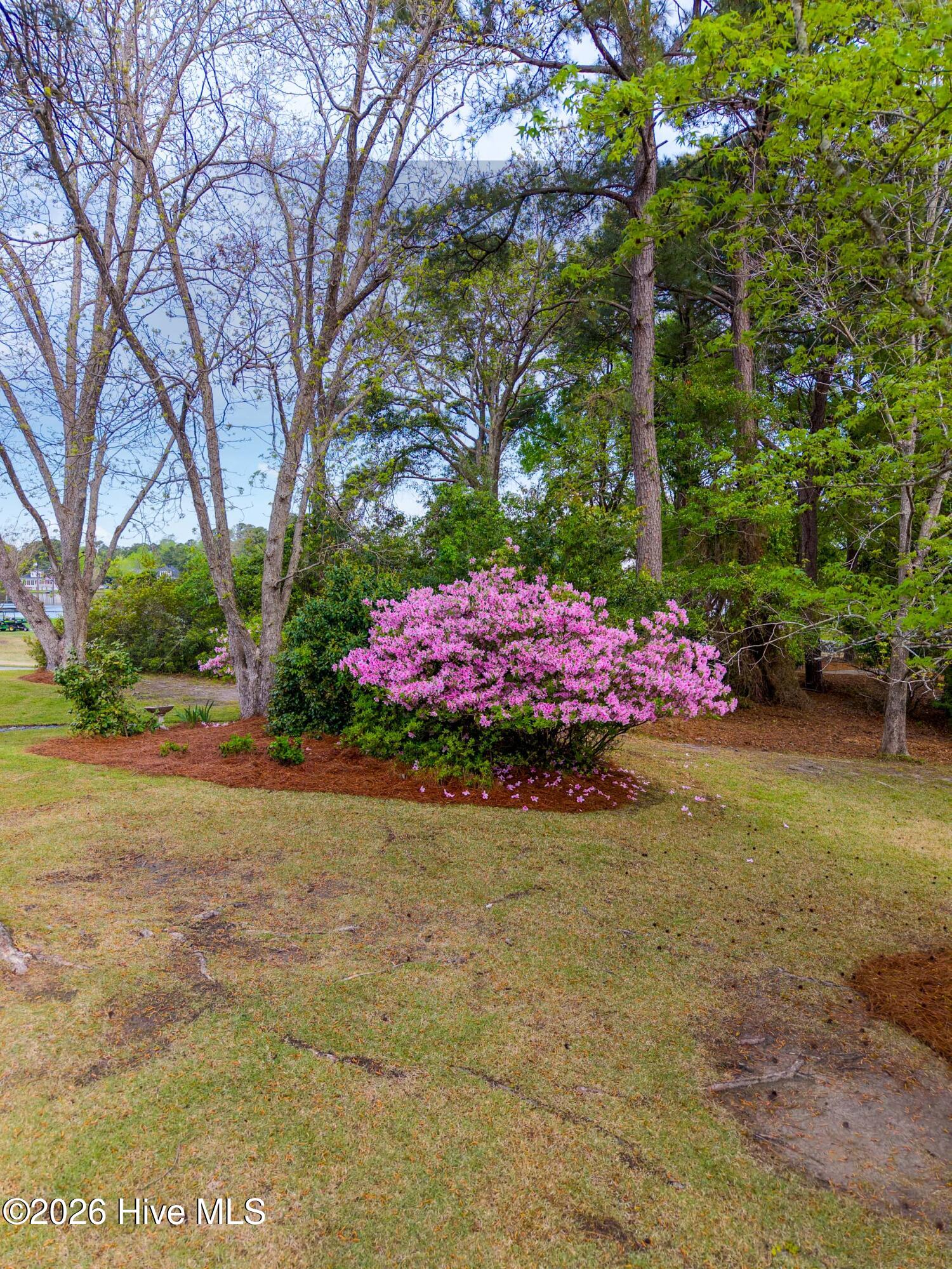 100568595 | Photo 47