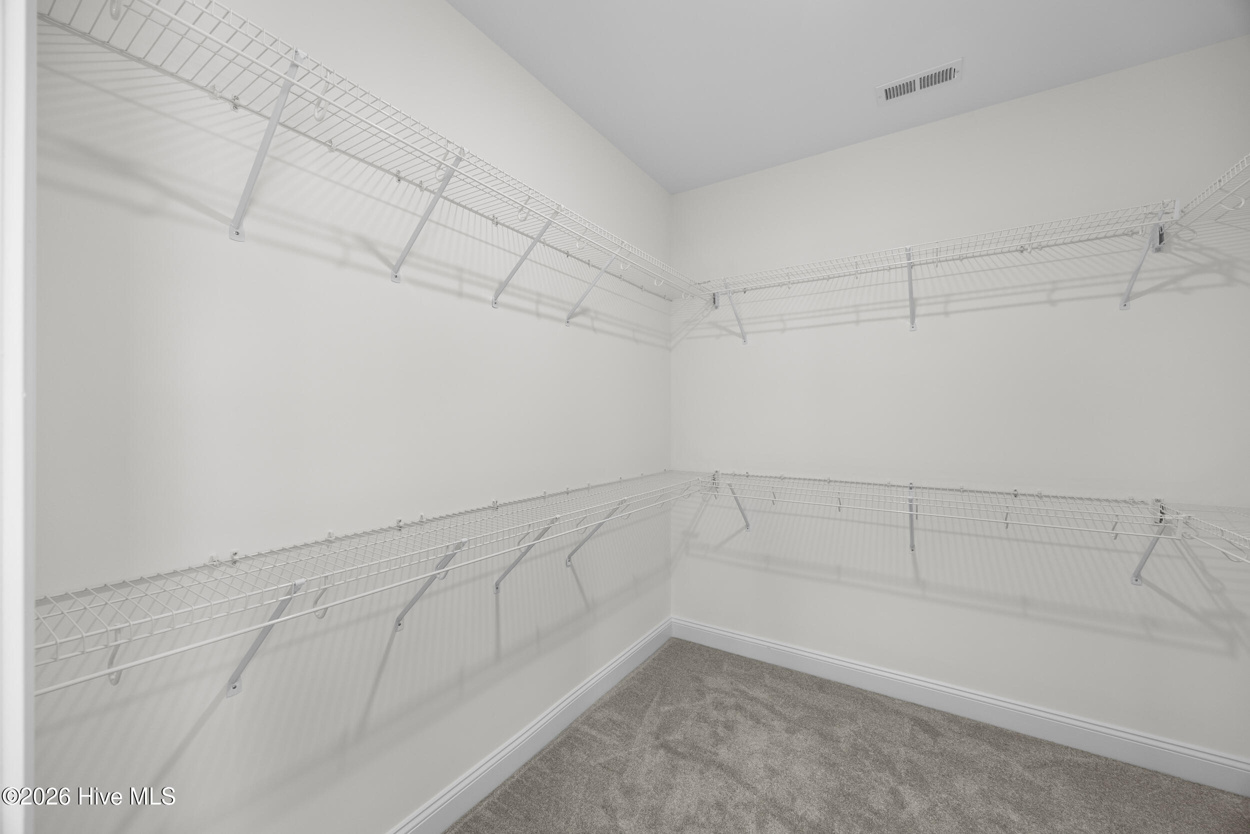 100559295 | Photo 29