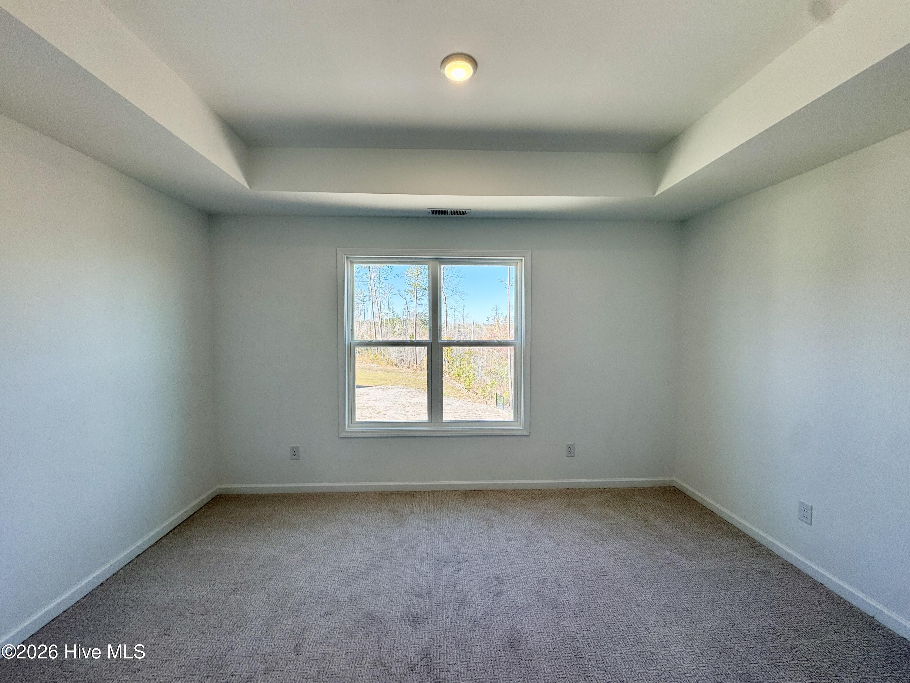 100516667 | Photo 14