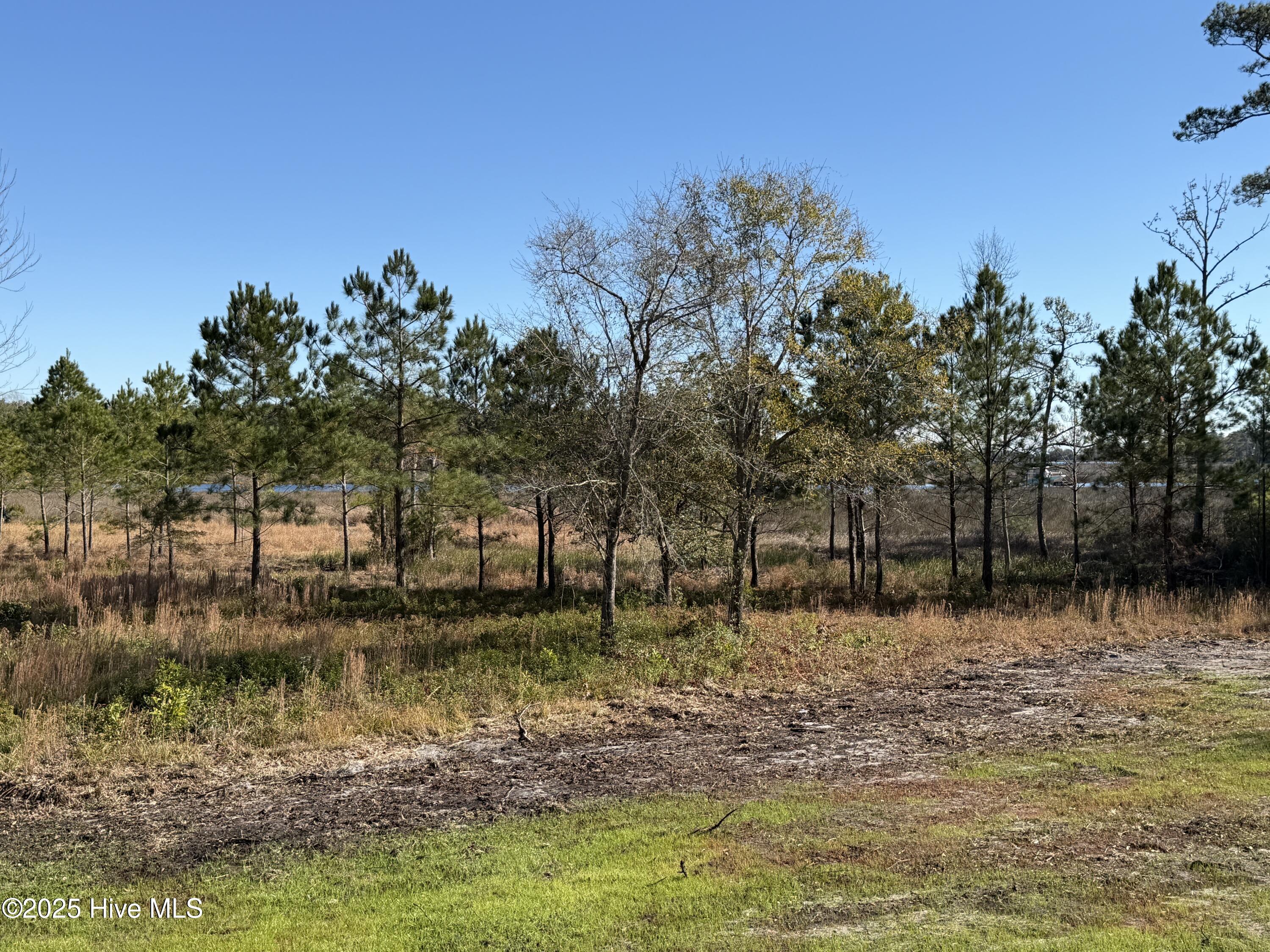 100500260 | Photo 32