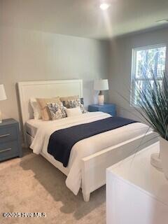 100559882 | Photo 11