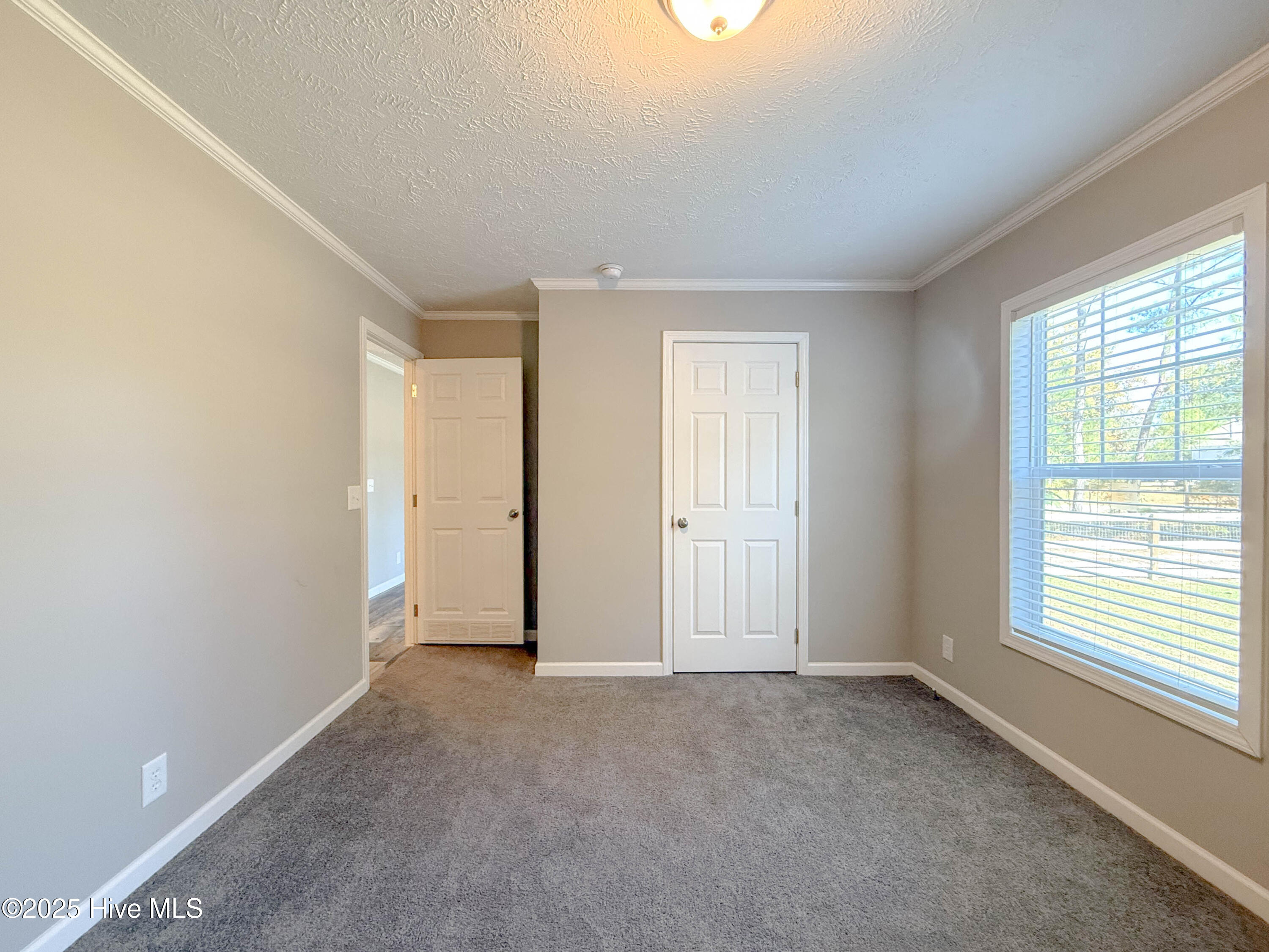 100540094 | Photo 50