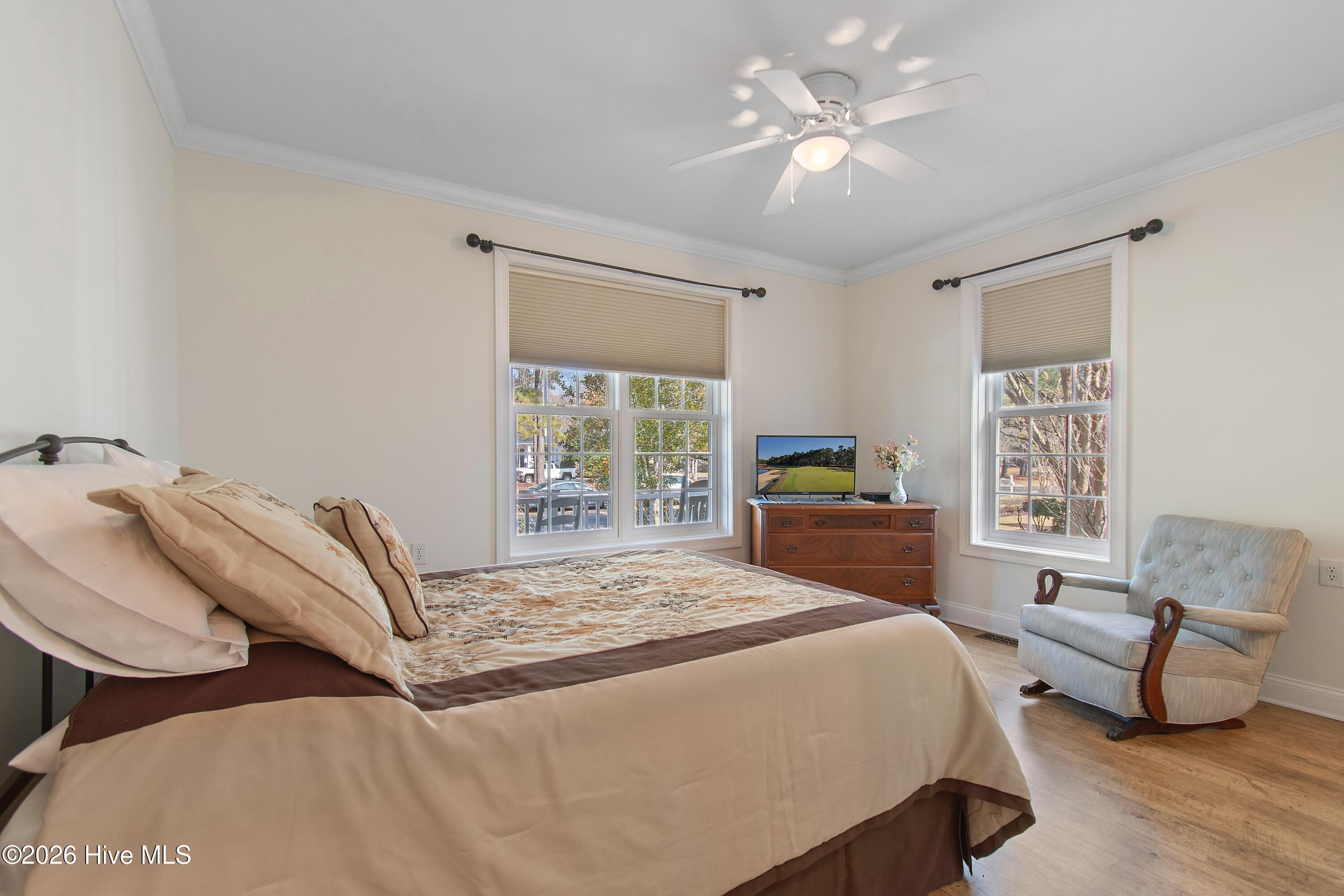 100556962 | Photo 46