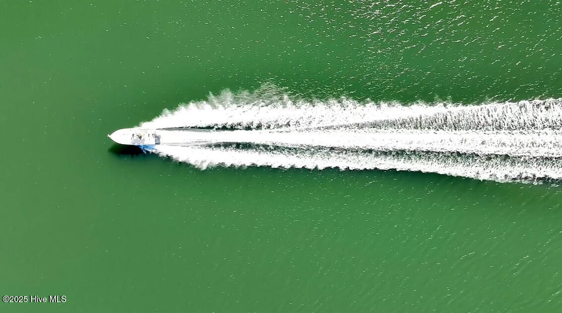 100542107 | Photo 19