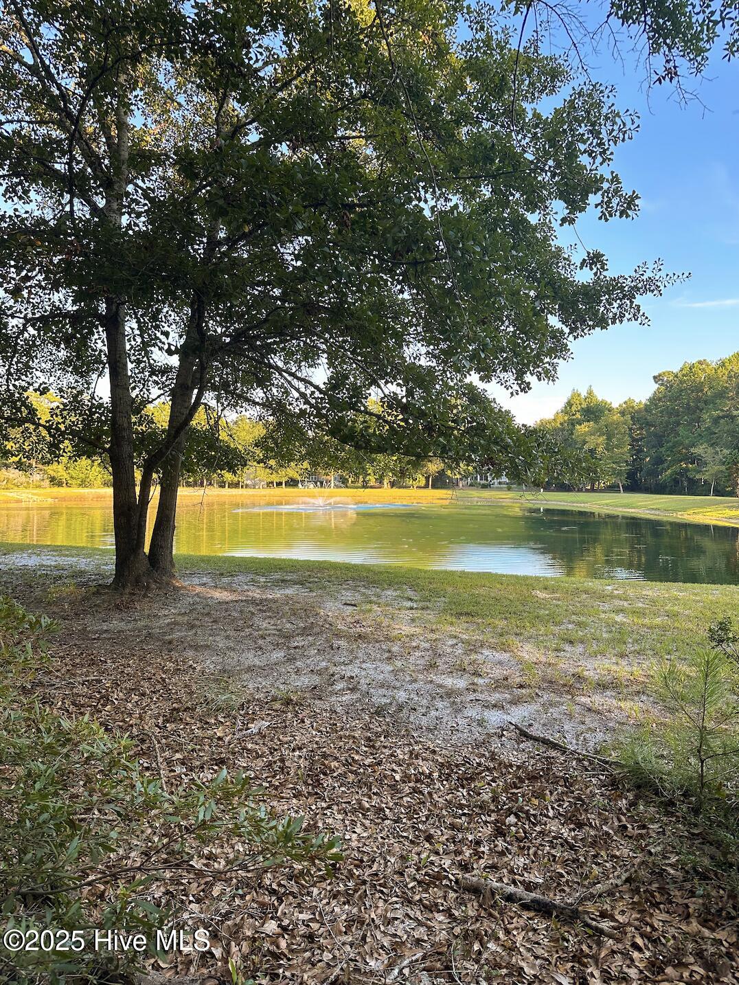 100528221 | Photo 13