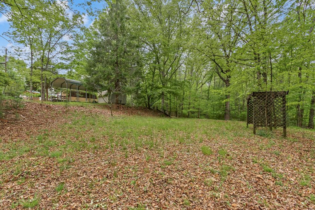 149 Sandy Lane, Murphy, NC 28906 Listing Photo  93