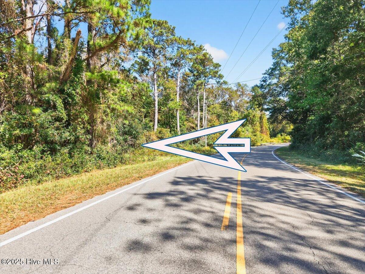 100538805 | Photo 27