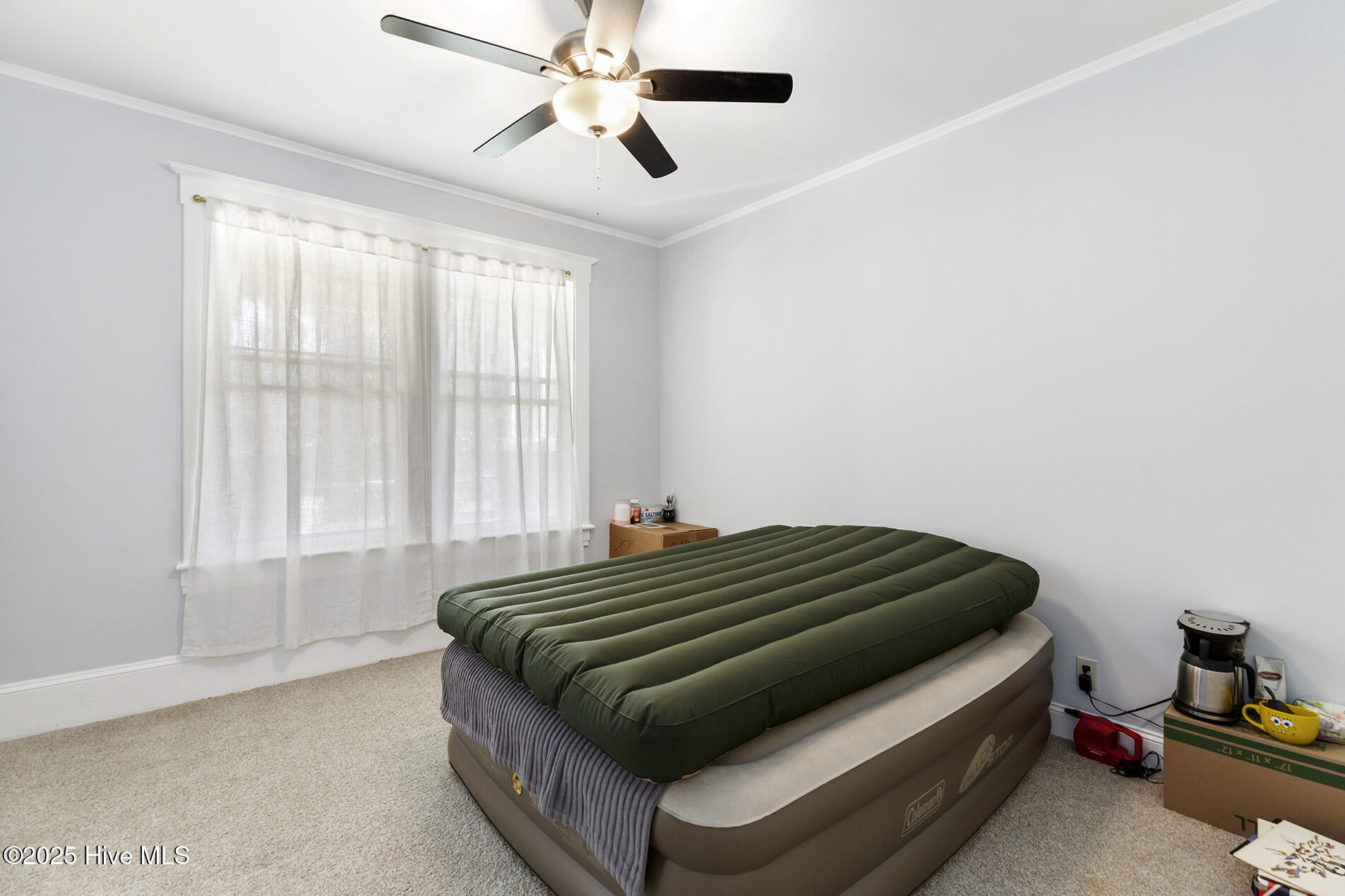 100540157 | Photo 25