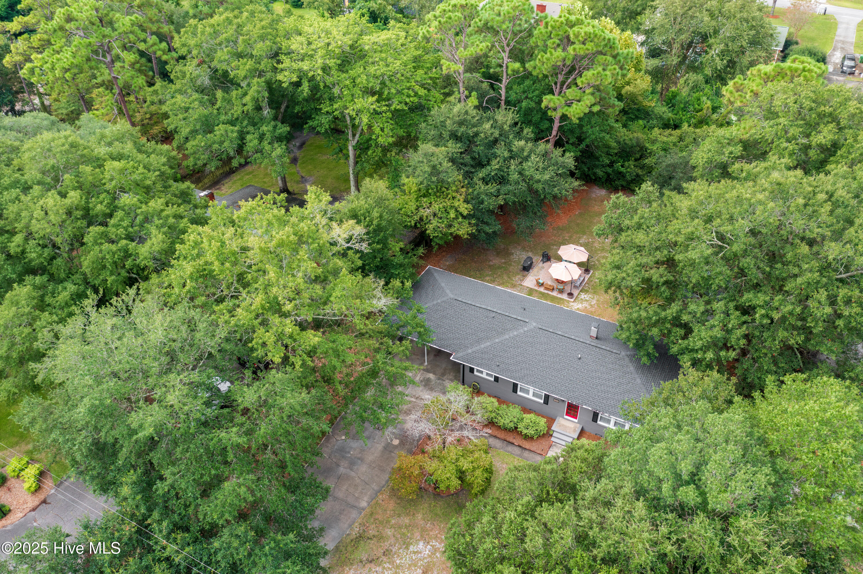 100549318 | Photo 39