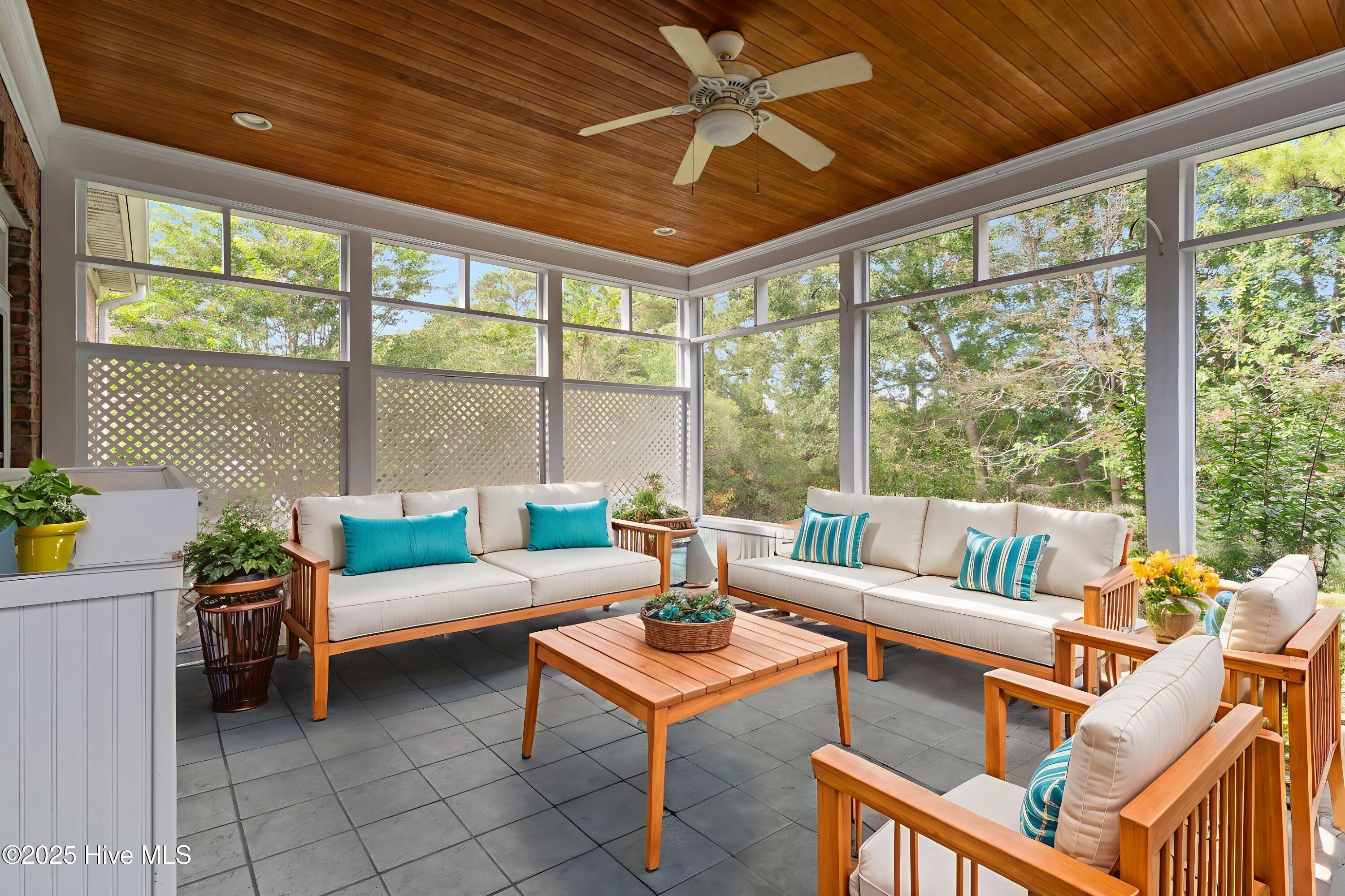 100538095 | Photo 51