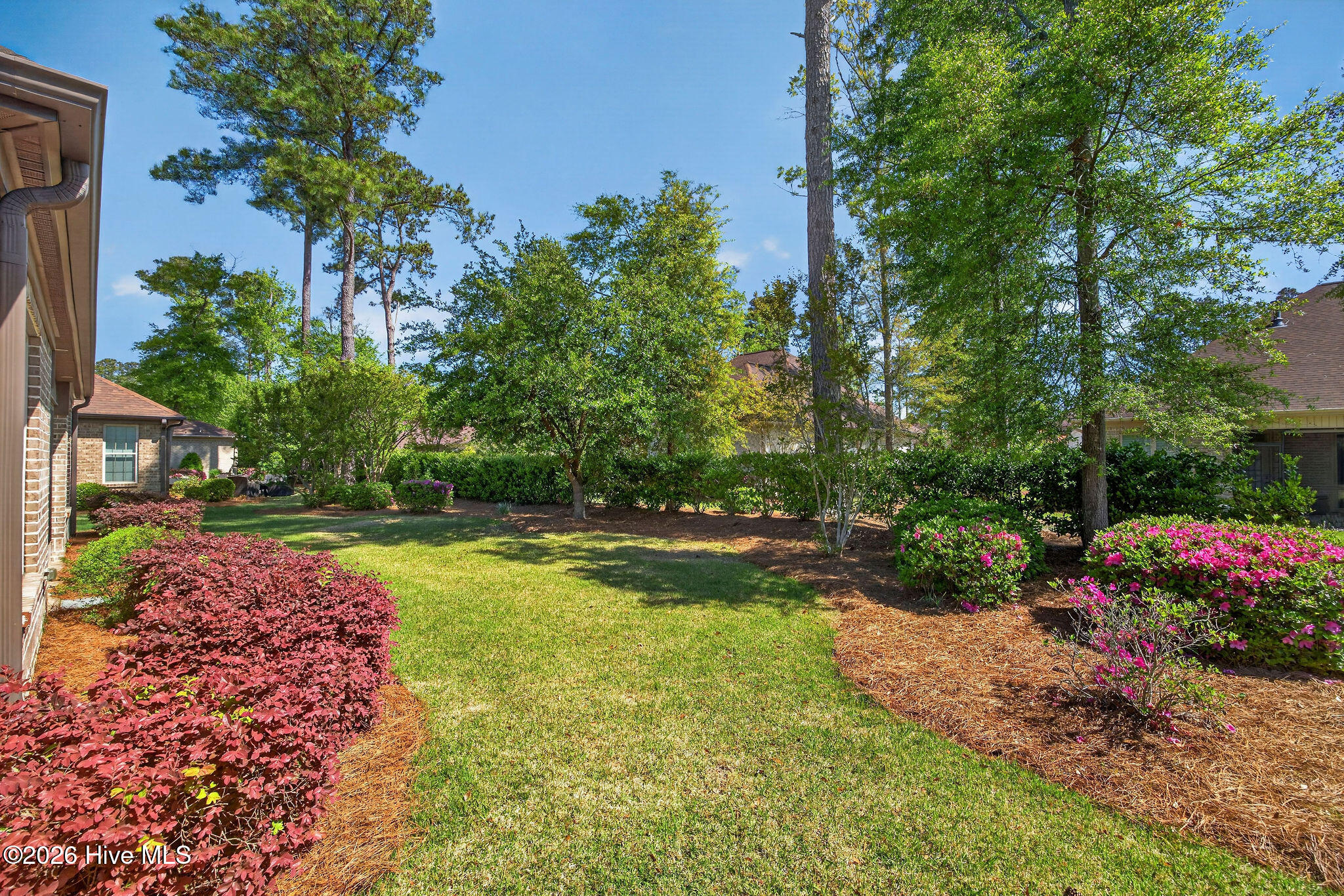 100548216 | Photo 47