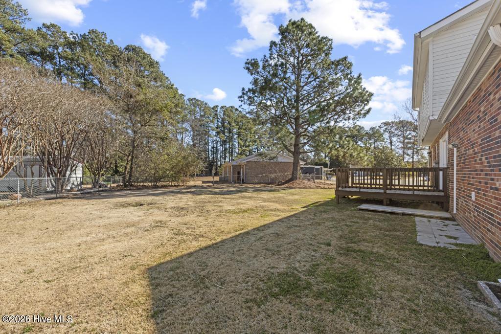 100553306 | Photo 35