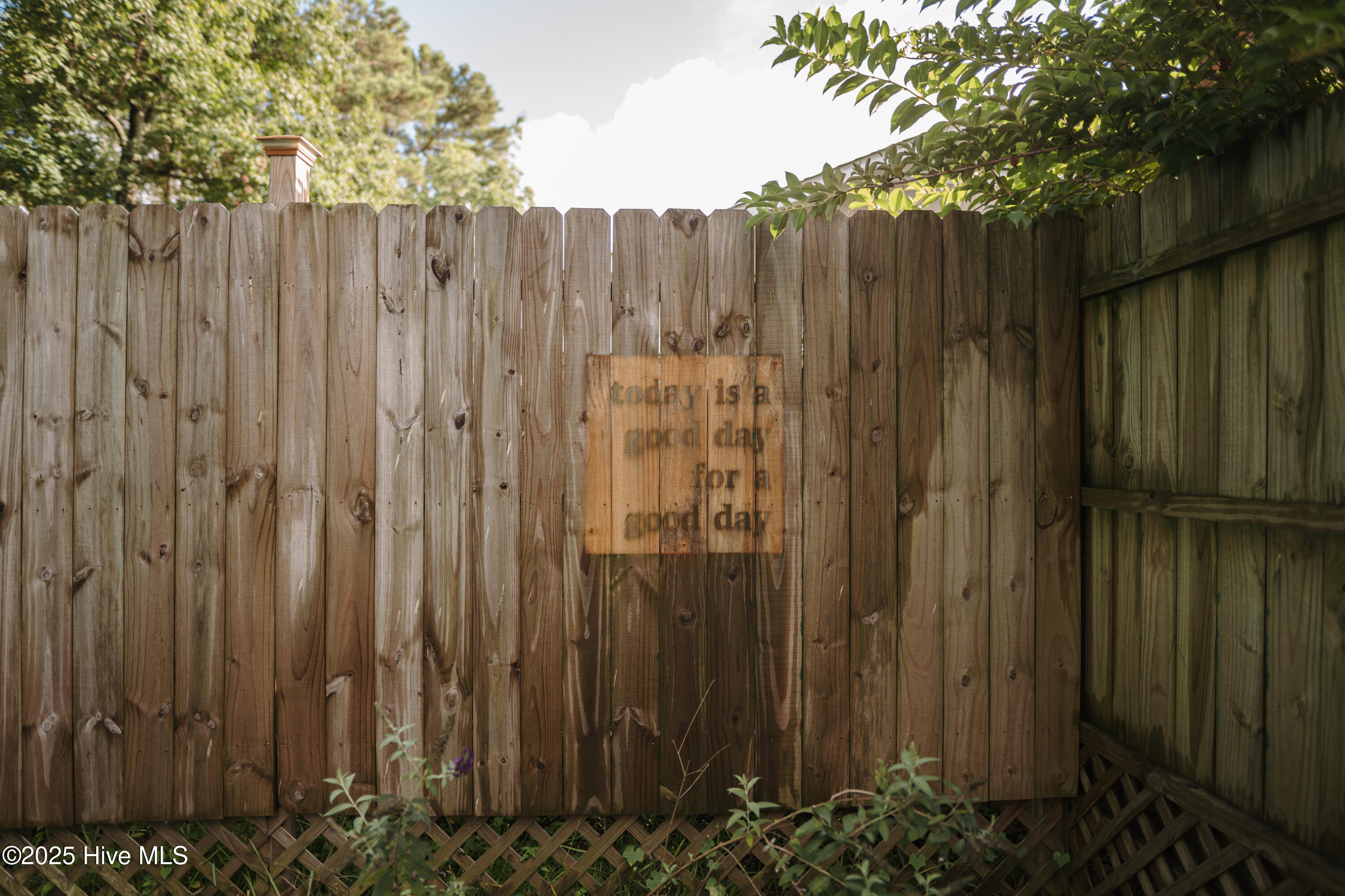 100580032 | Photo 14