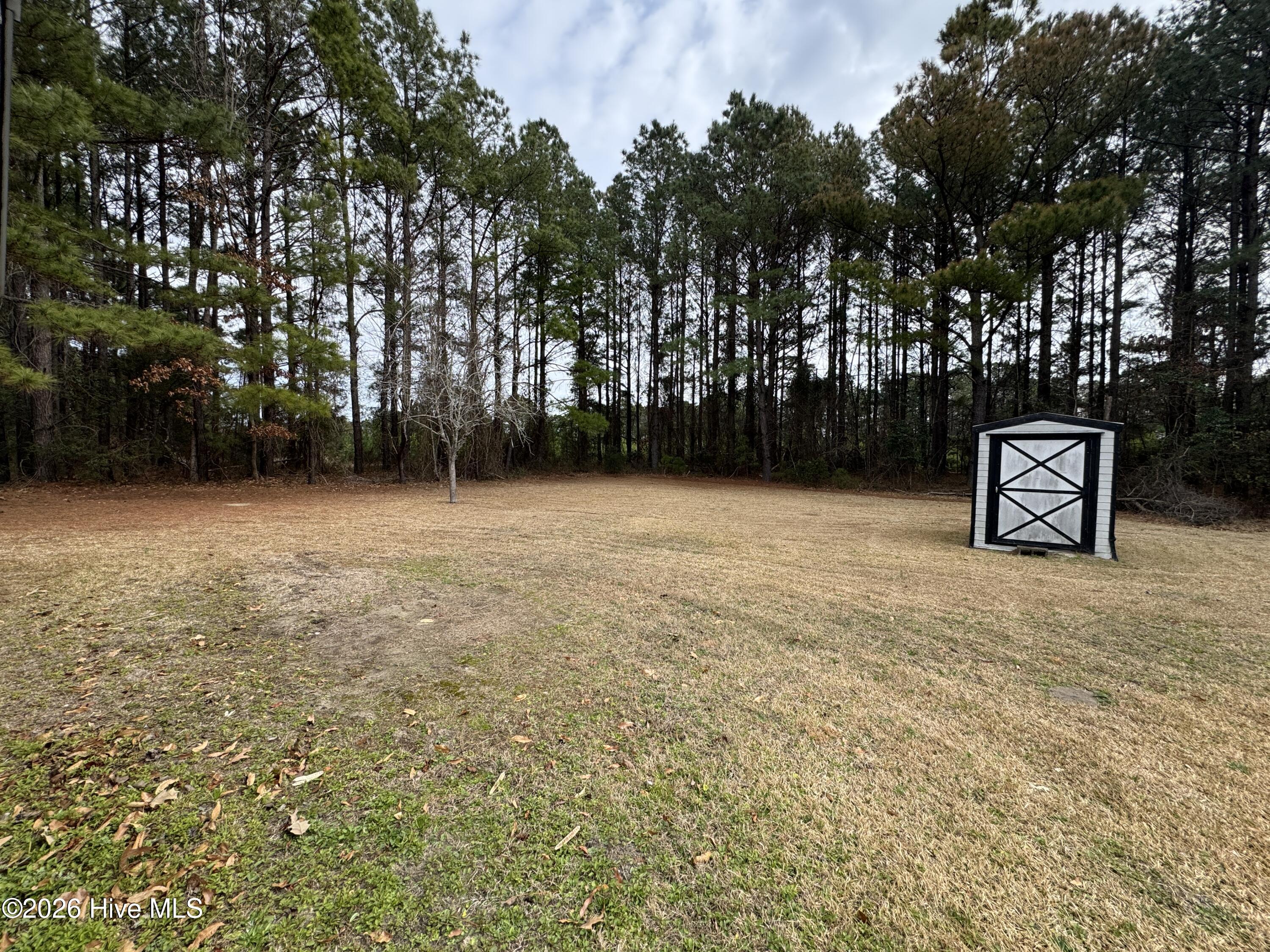 100551749 | Photo 15