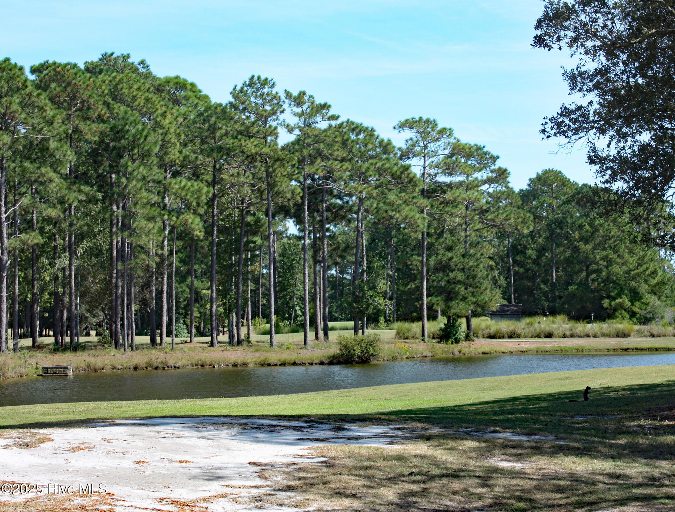 Pond and Wildlife View