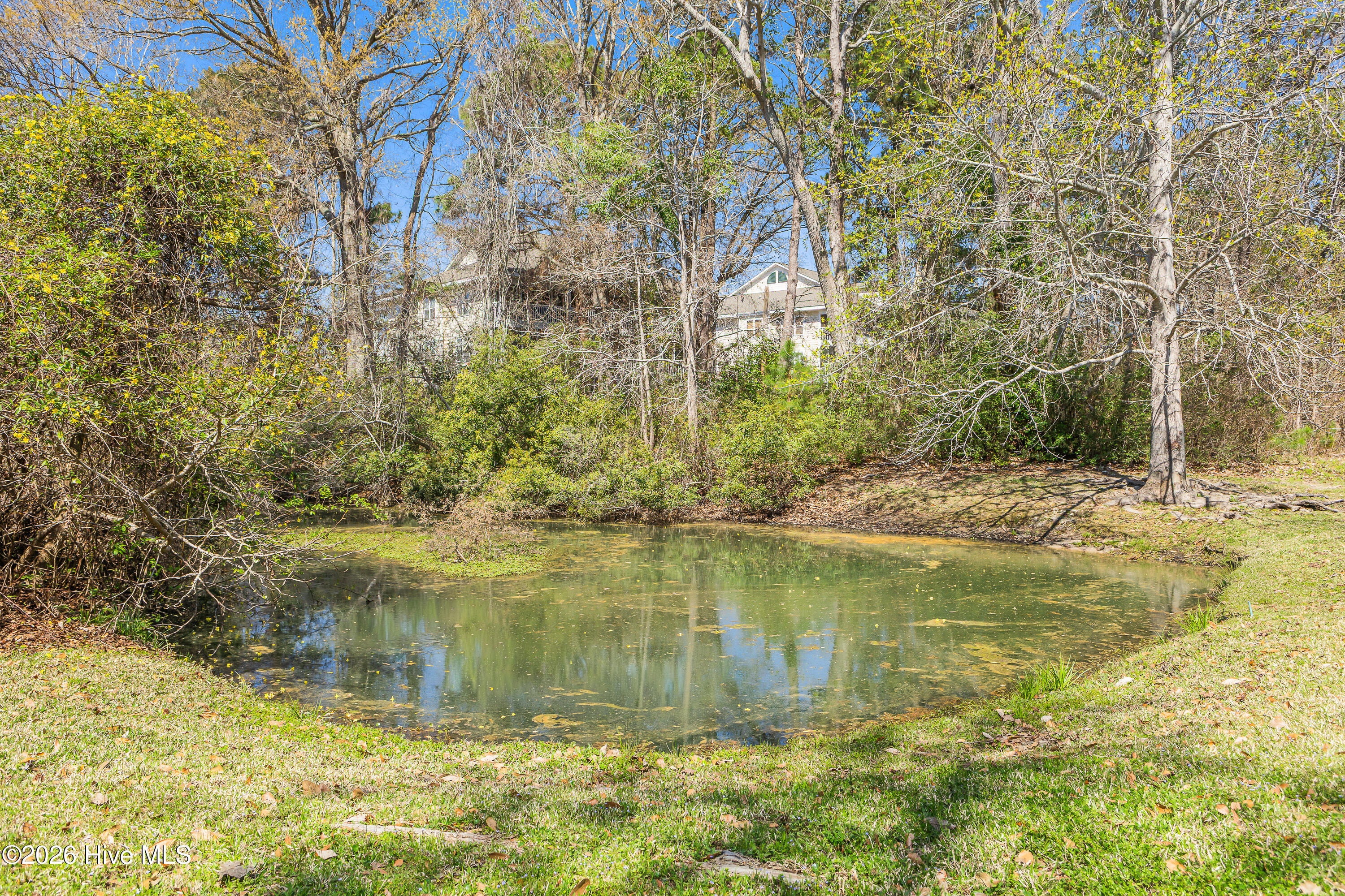 100562501 | Photo 48