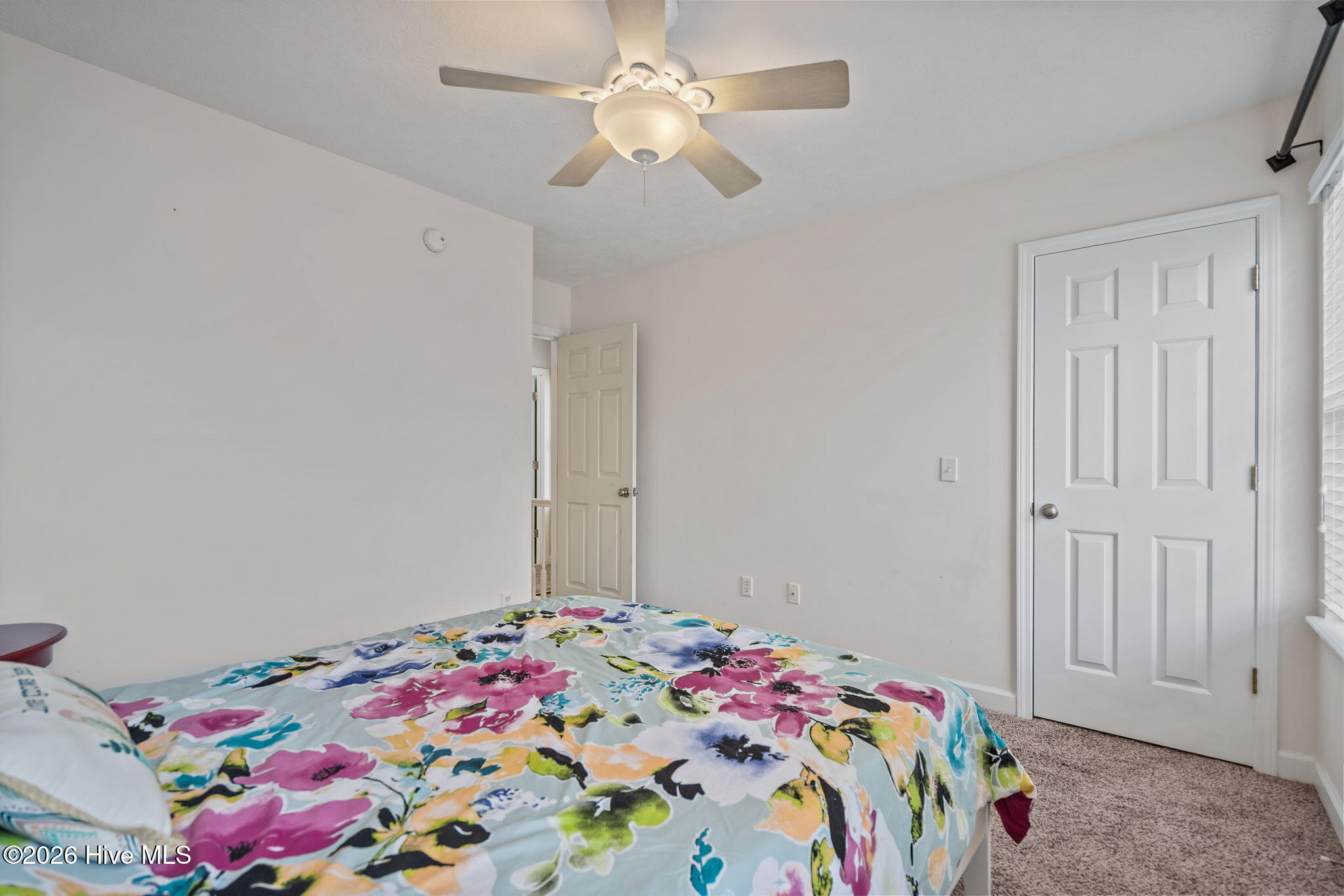 100558103 | Photo 32