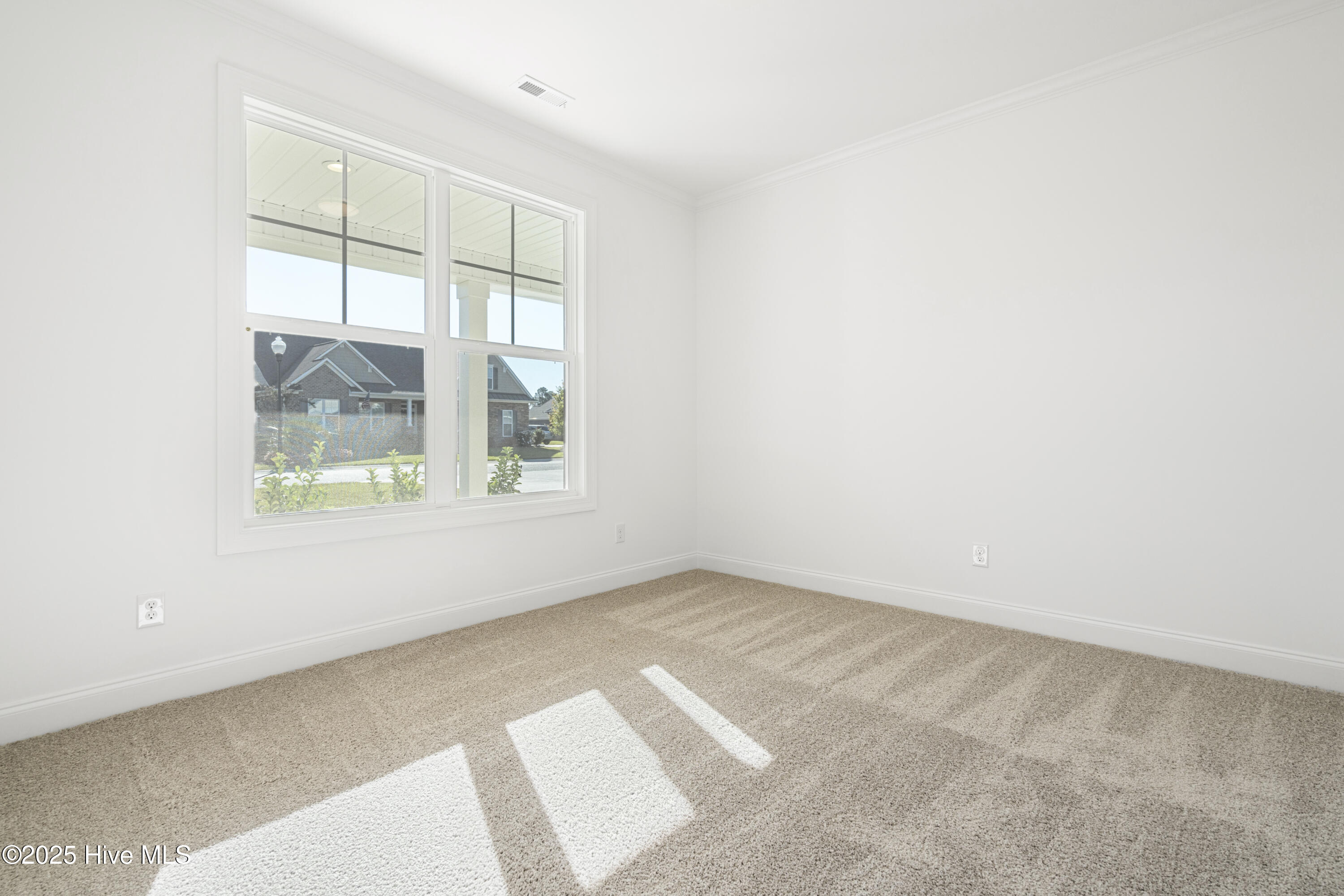 100493135 | Photo 38