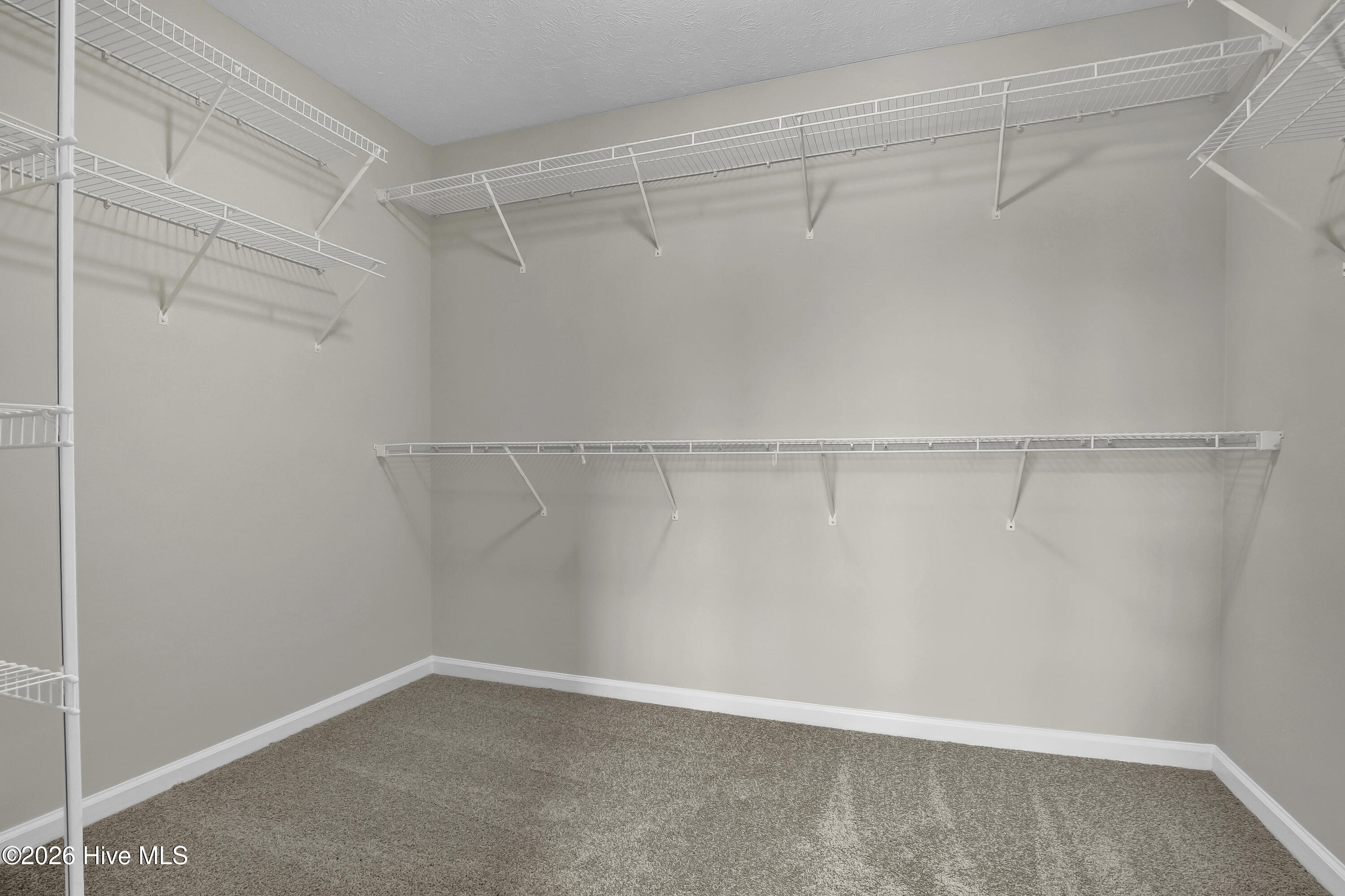 100551911 | Photo 18