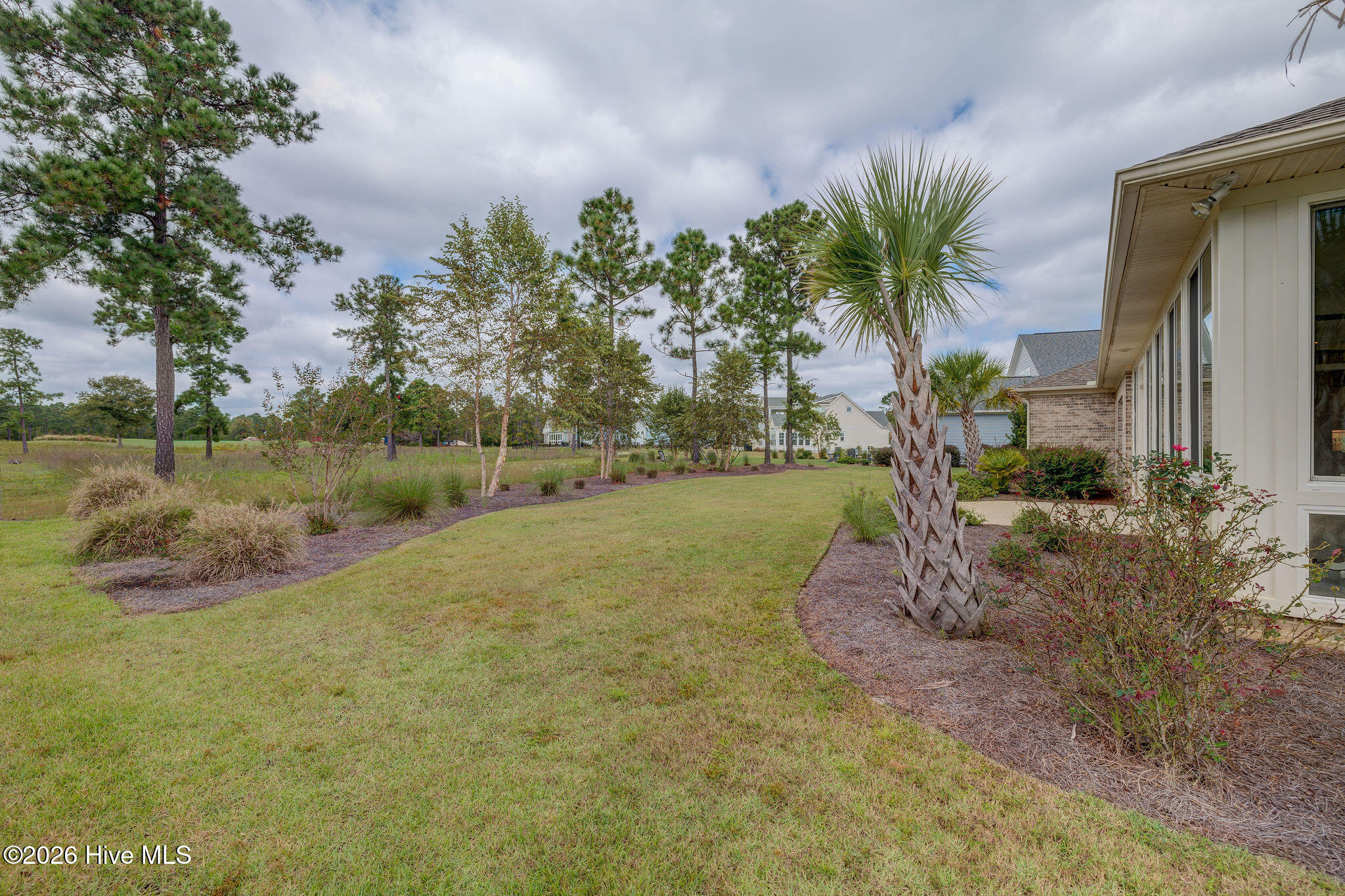 100558232 | Photo 50