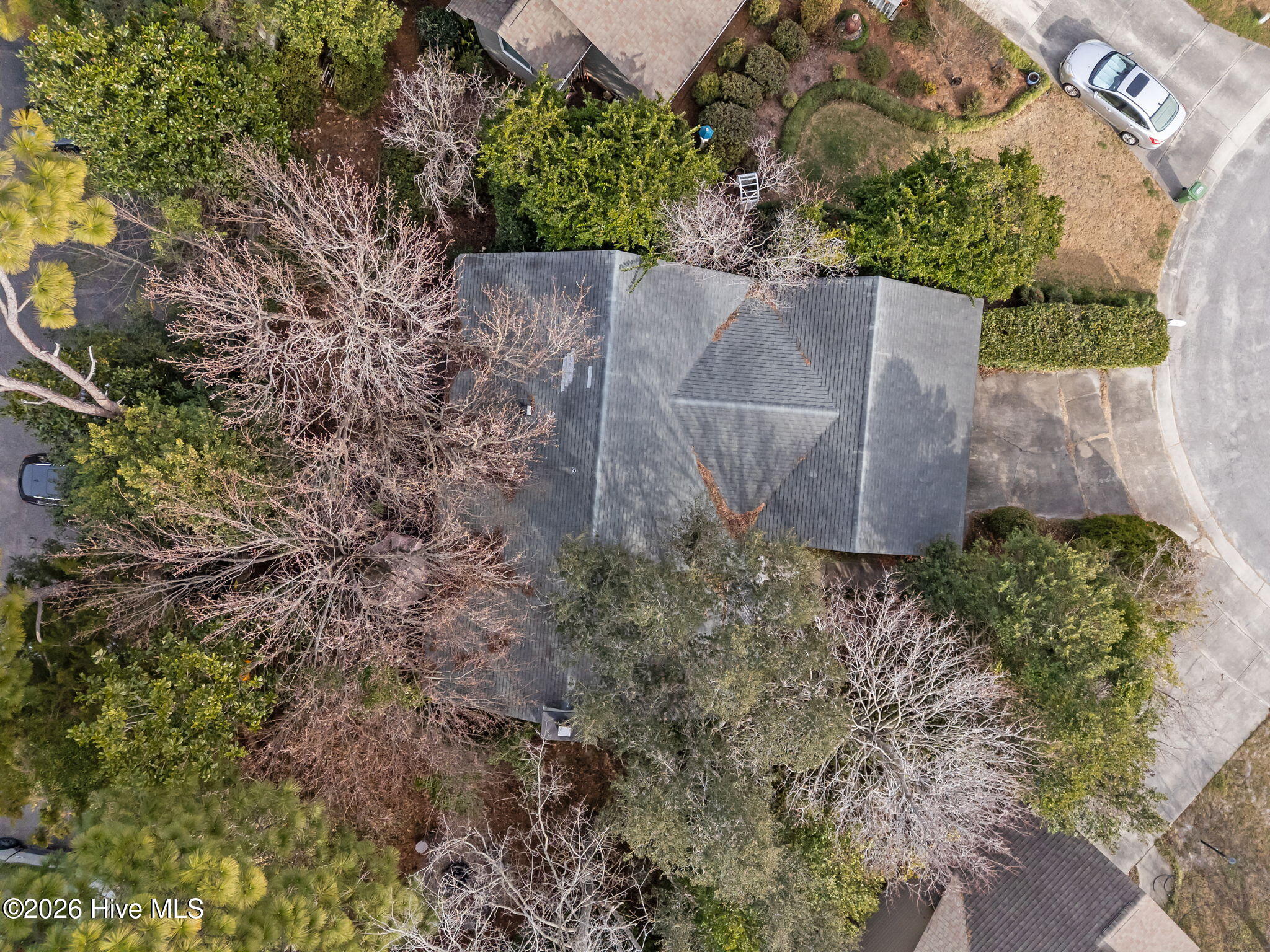 100552337 | Photo 36