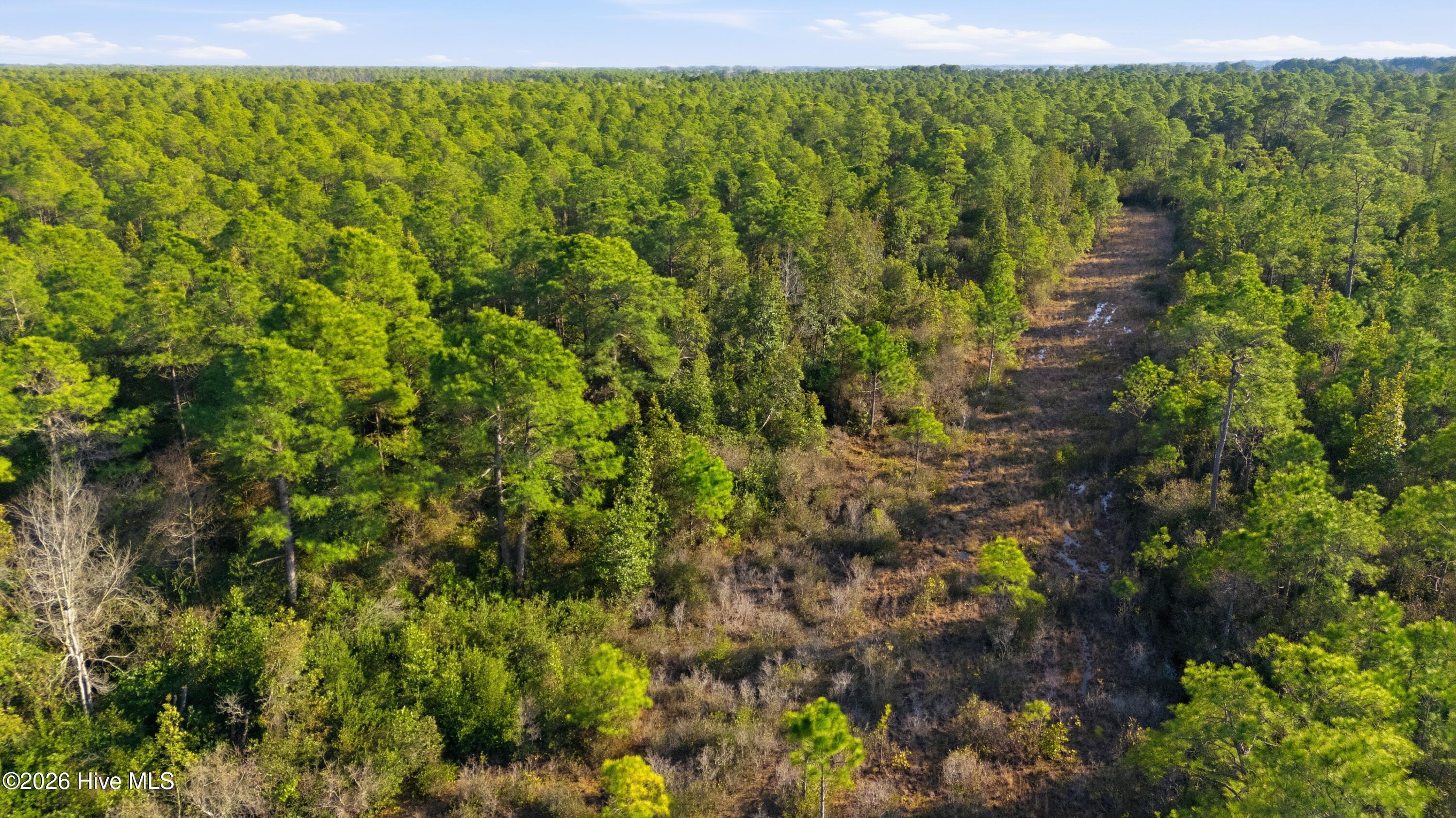 100554179 | Photo 11