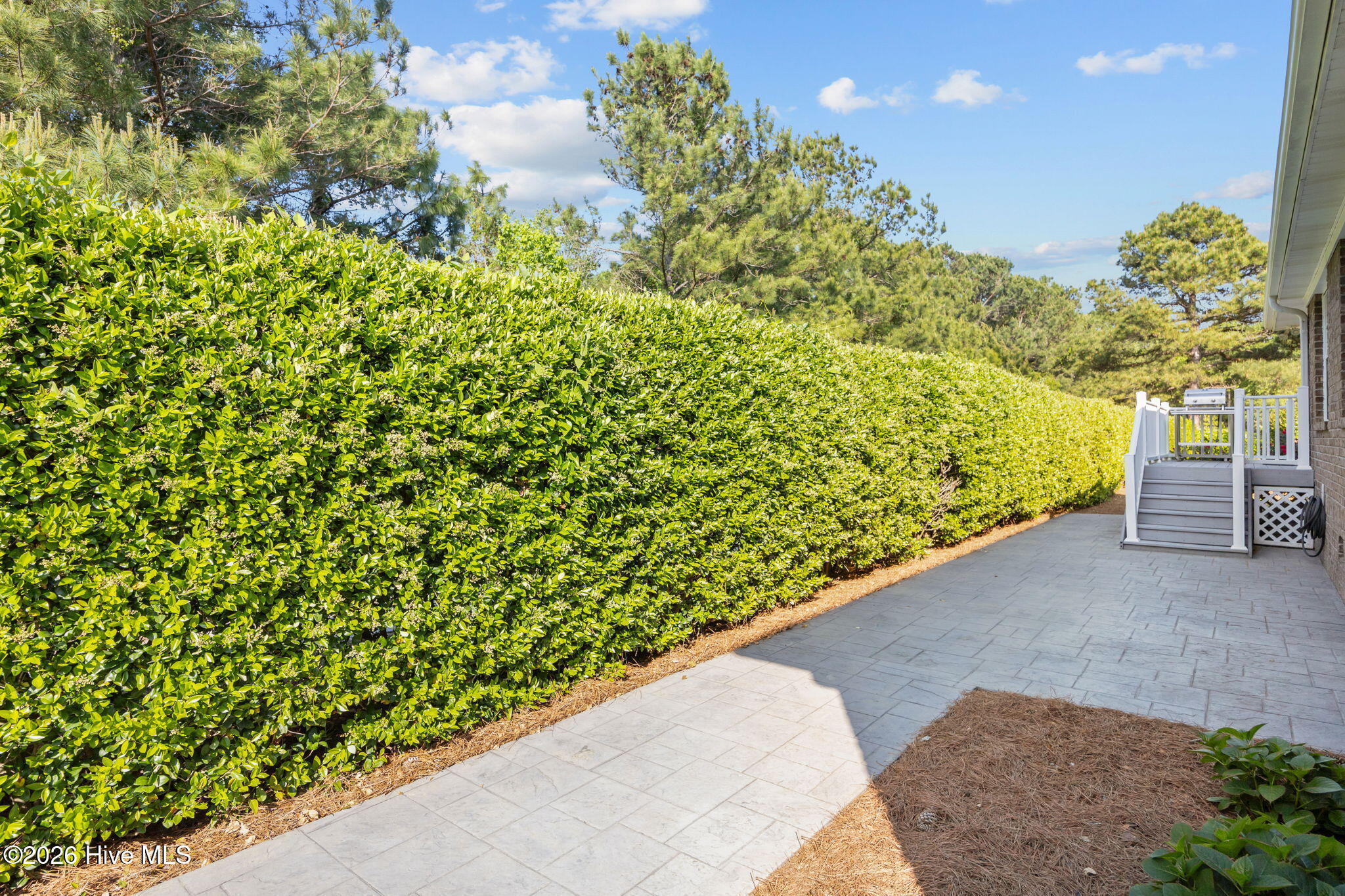 100567034 | Photo 30