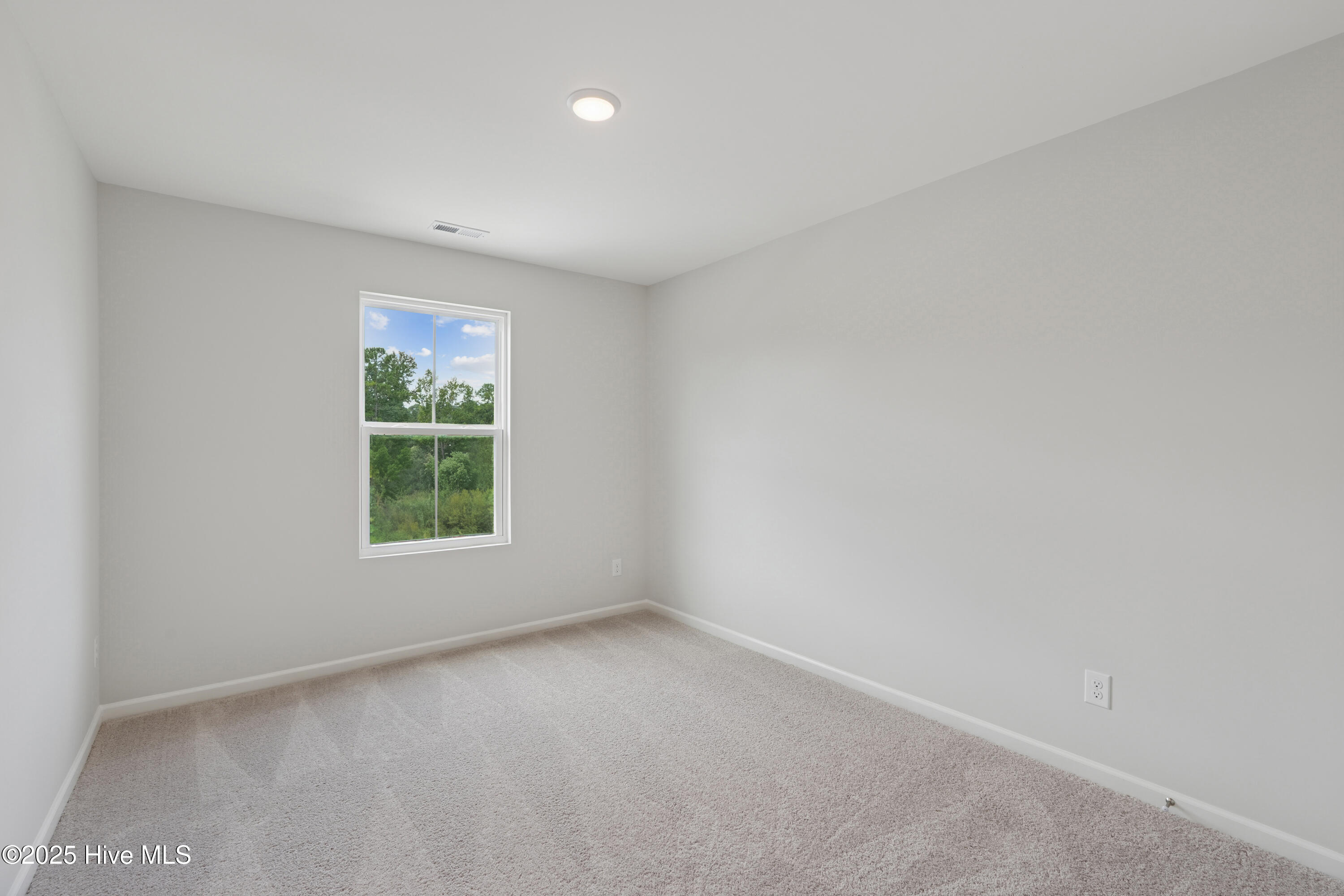 100547565 | Photo 22