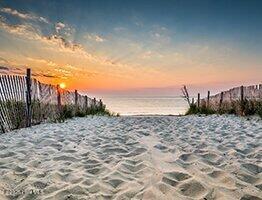 100535209 | Photo 39