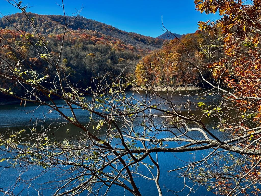 Lot#26 Lakeshore, Nantahala, North Carolina, 0 ,For sale,Lakeshore,98543877