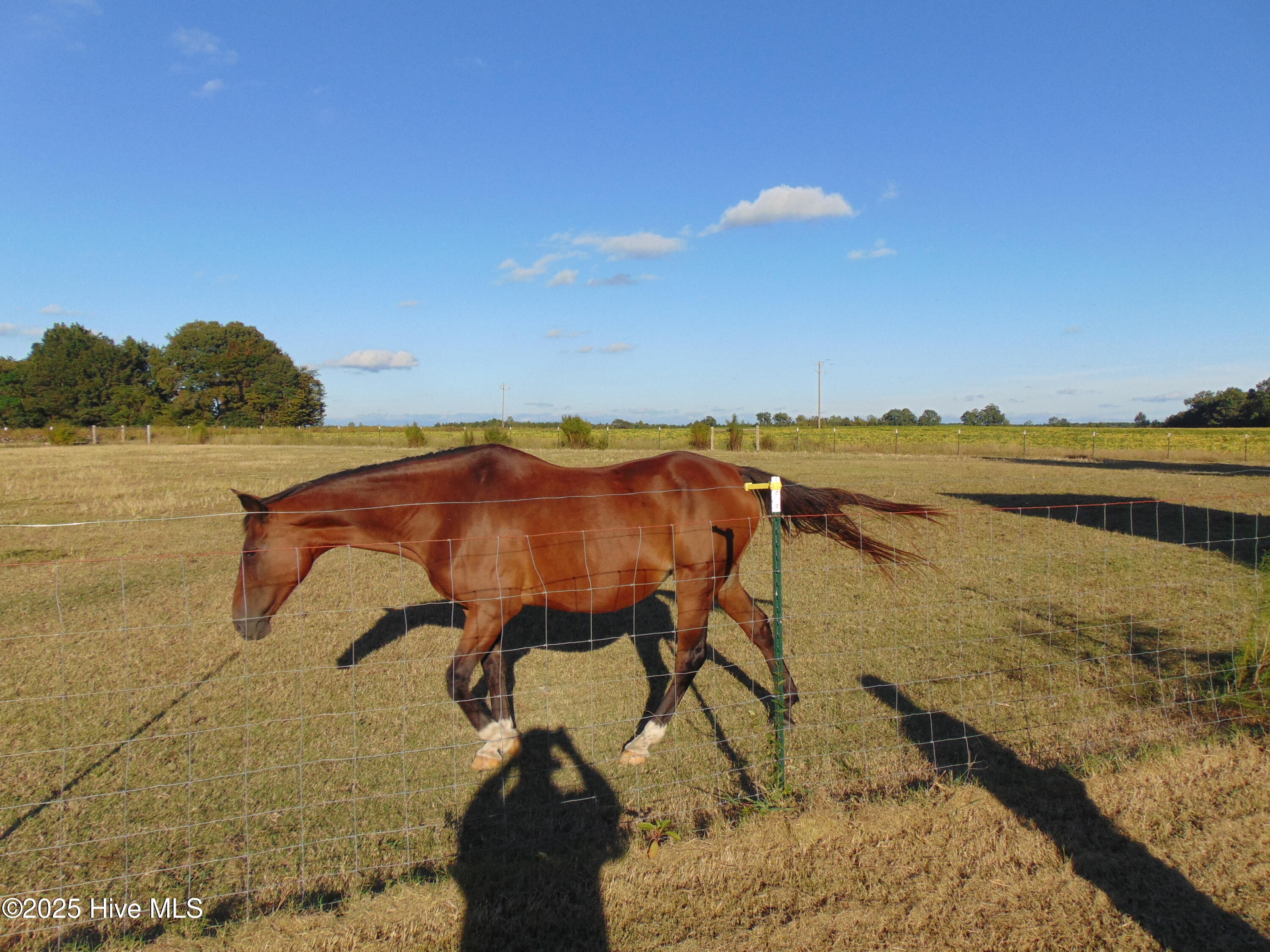 13619 Us Highway 258, Scotland Neck, NC, 27874