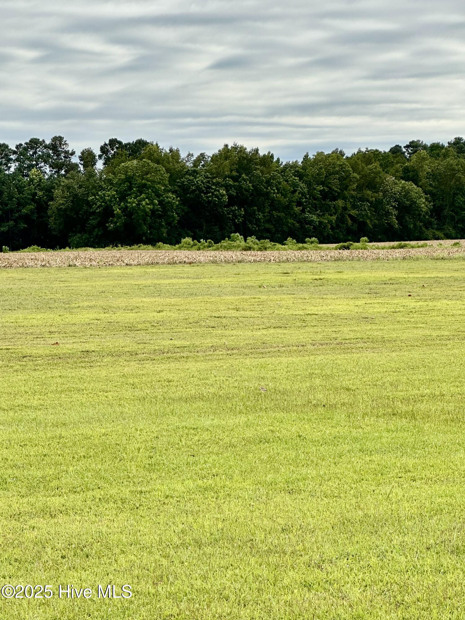 146 Cherry Street, Cerro Gordo, NC, 28430