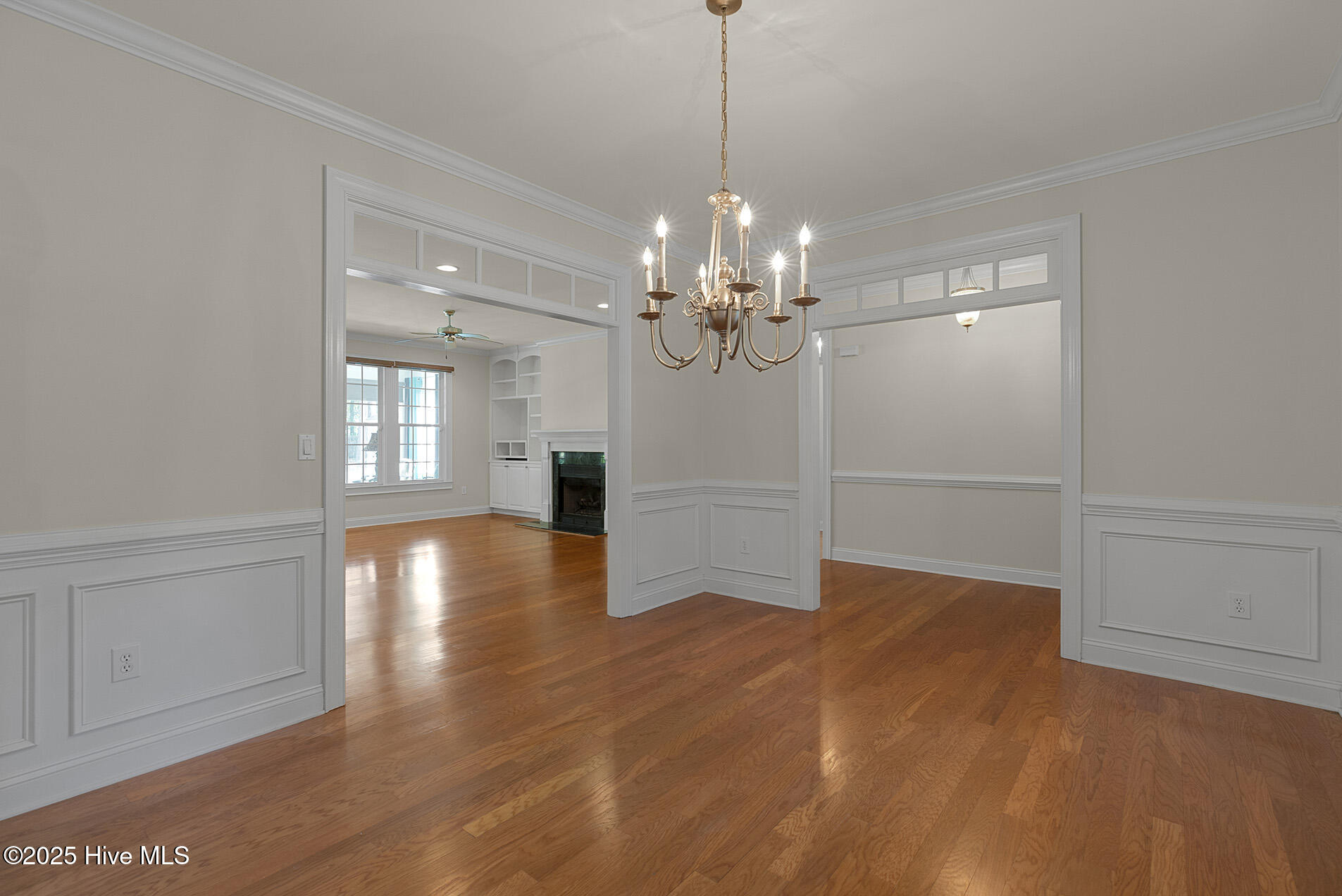 100558223 | Photo 12