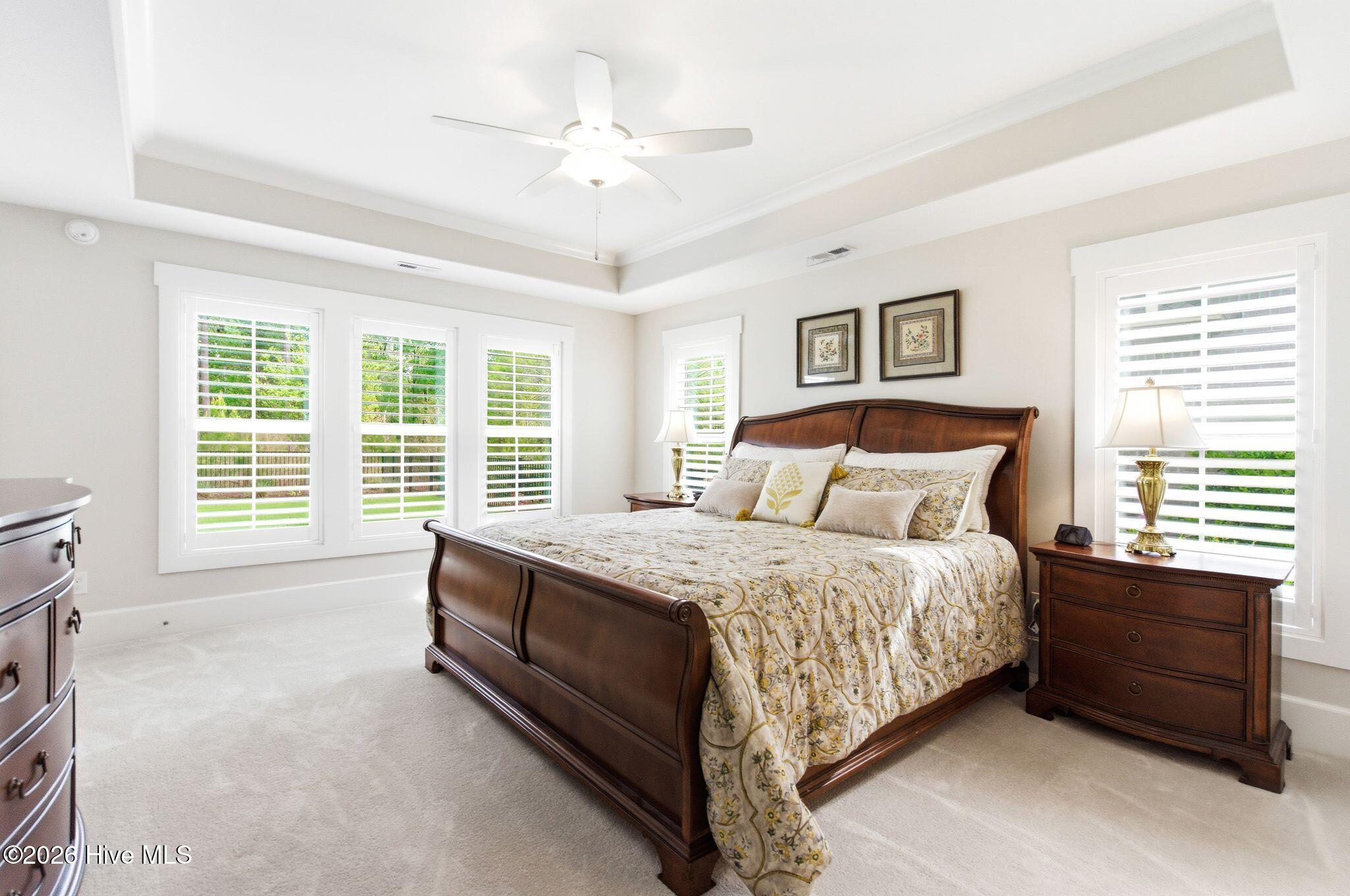 100566081 | Photo 18