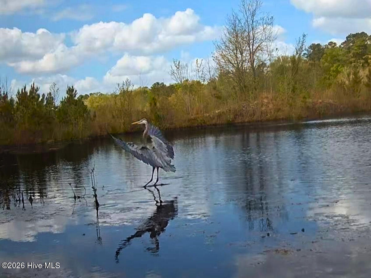 0 Durwood Evans Road, Beulaville, NC, 28518