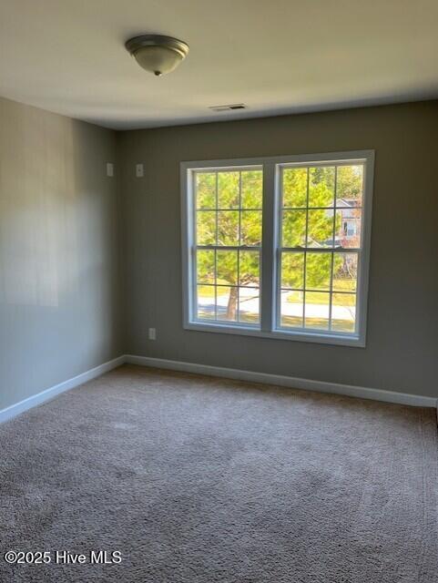 100537442 | Photo 23