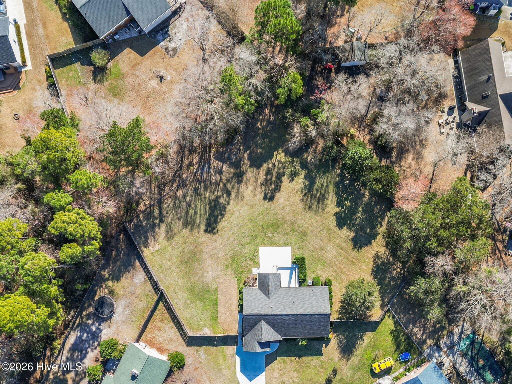 100556381 | Photo 61