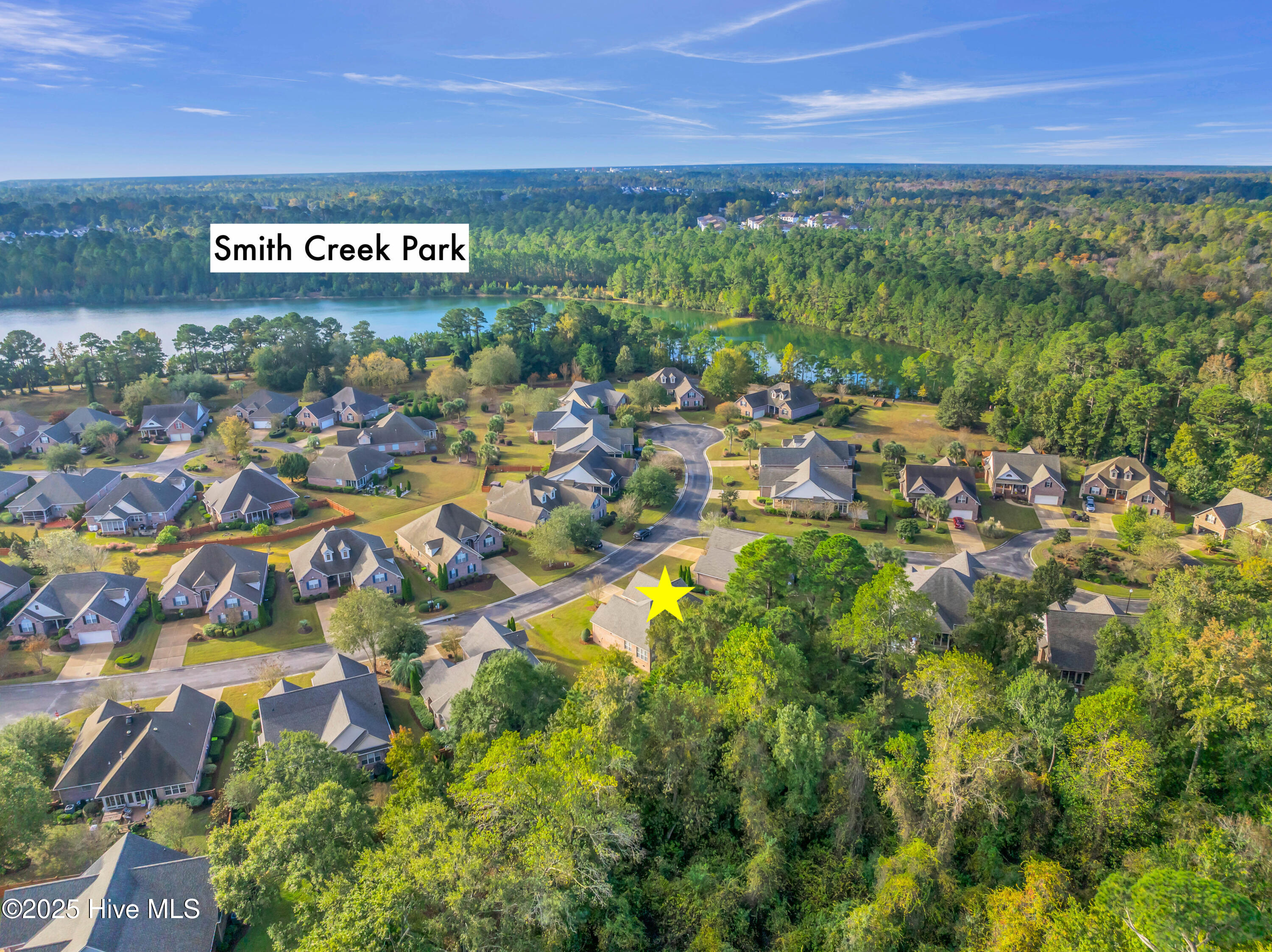 100539518 | Photo 51