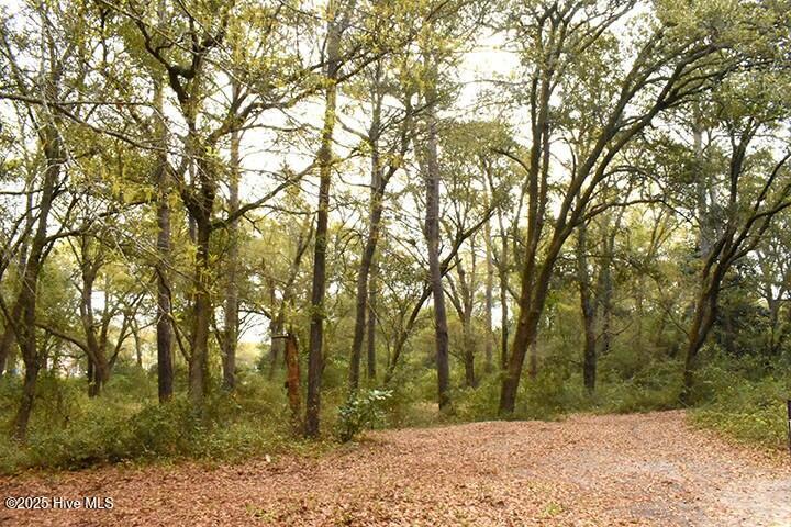 187 Pamlico Parkway, Beaufort, NC, 28516