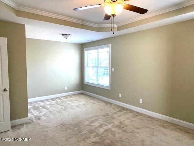 100563645 | Photo 20