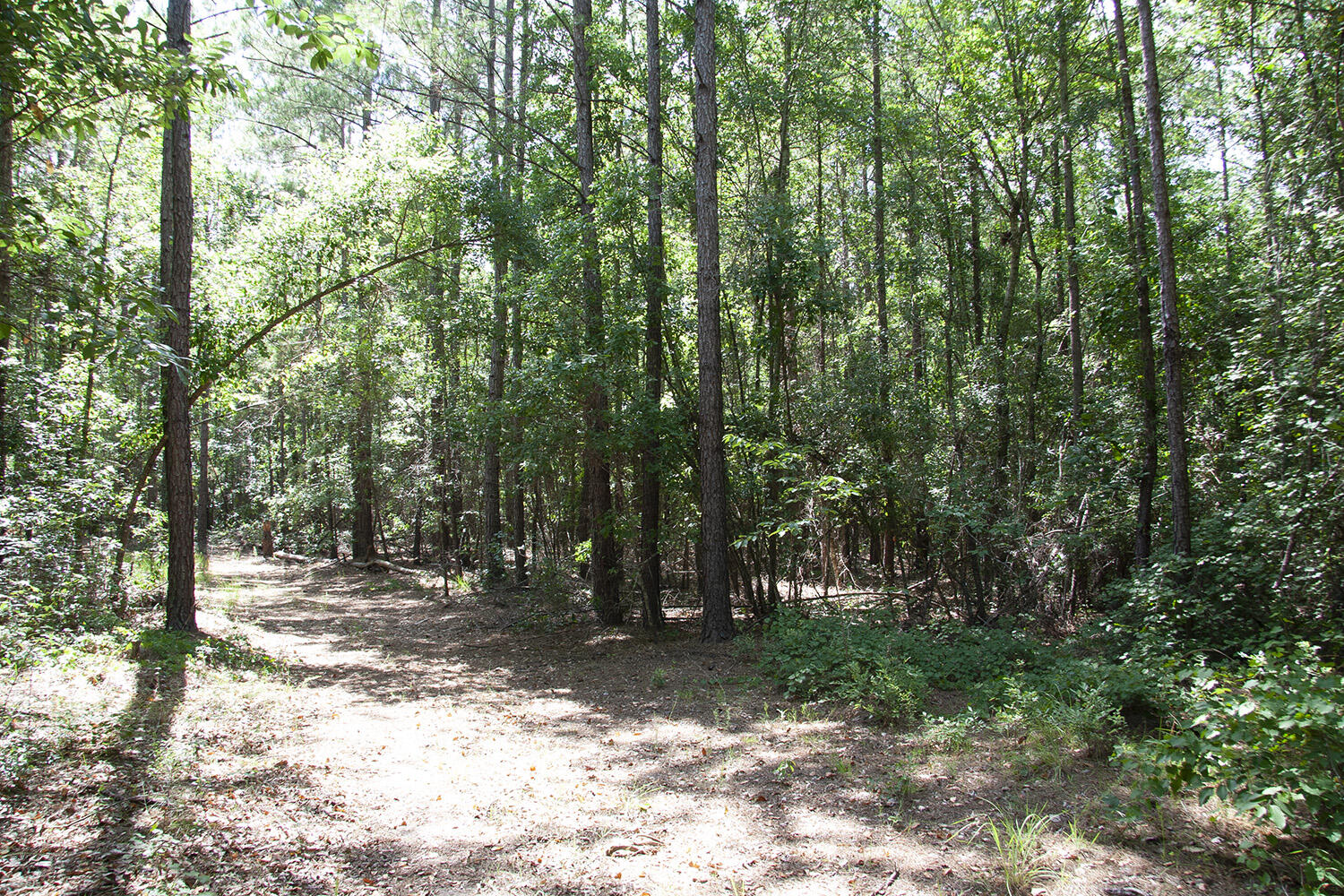 1515C HEPHZIBAH - MCBEAN Road, Hephzibah, GA, 30815