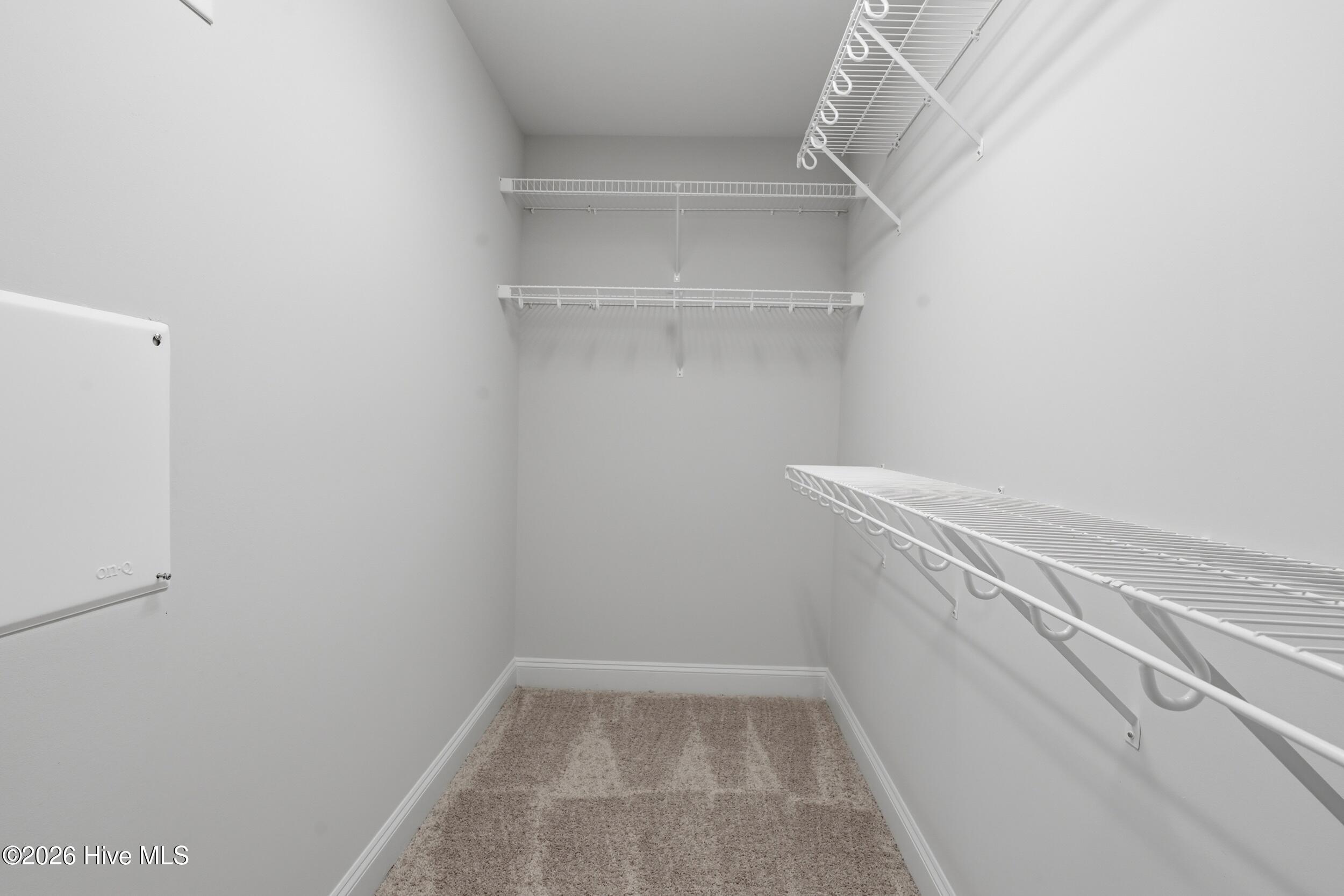 100559479 | Photo 30