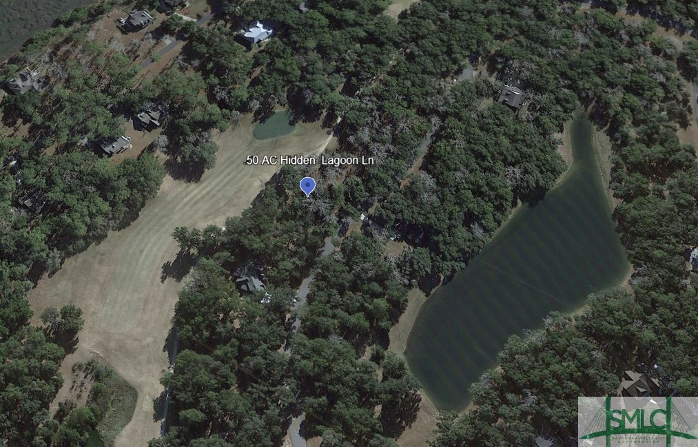 Homes for sale in Townsend, GA | 50 Ac Hidden Lagoon Ln Ne, Townsend, GA 31331 | MLS# SA319552