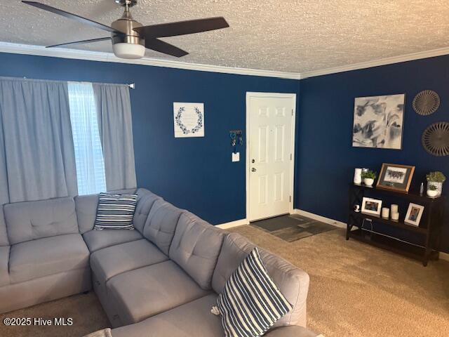 100542049 | Photo 19