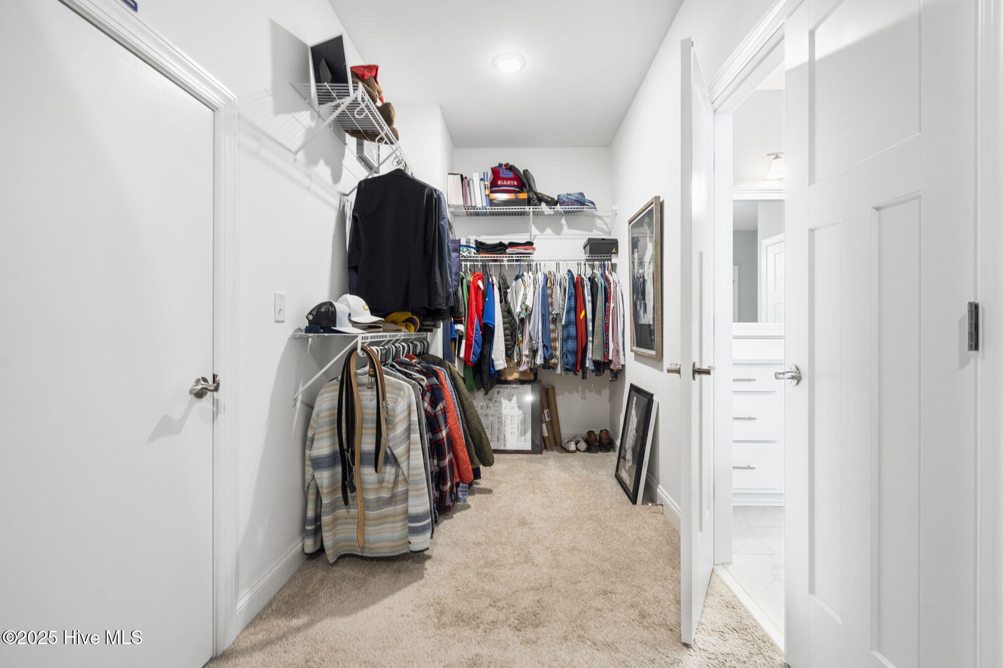 100538351 | Photo 42