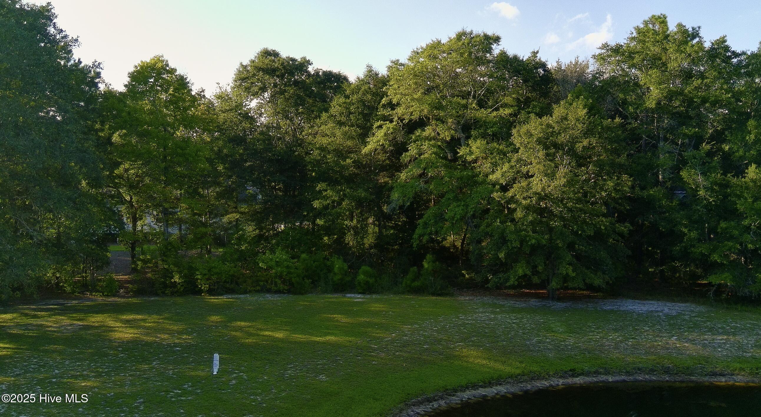 100528221 | Photo 10