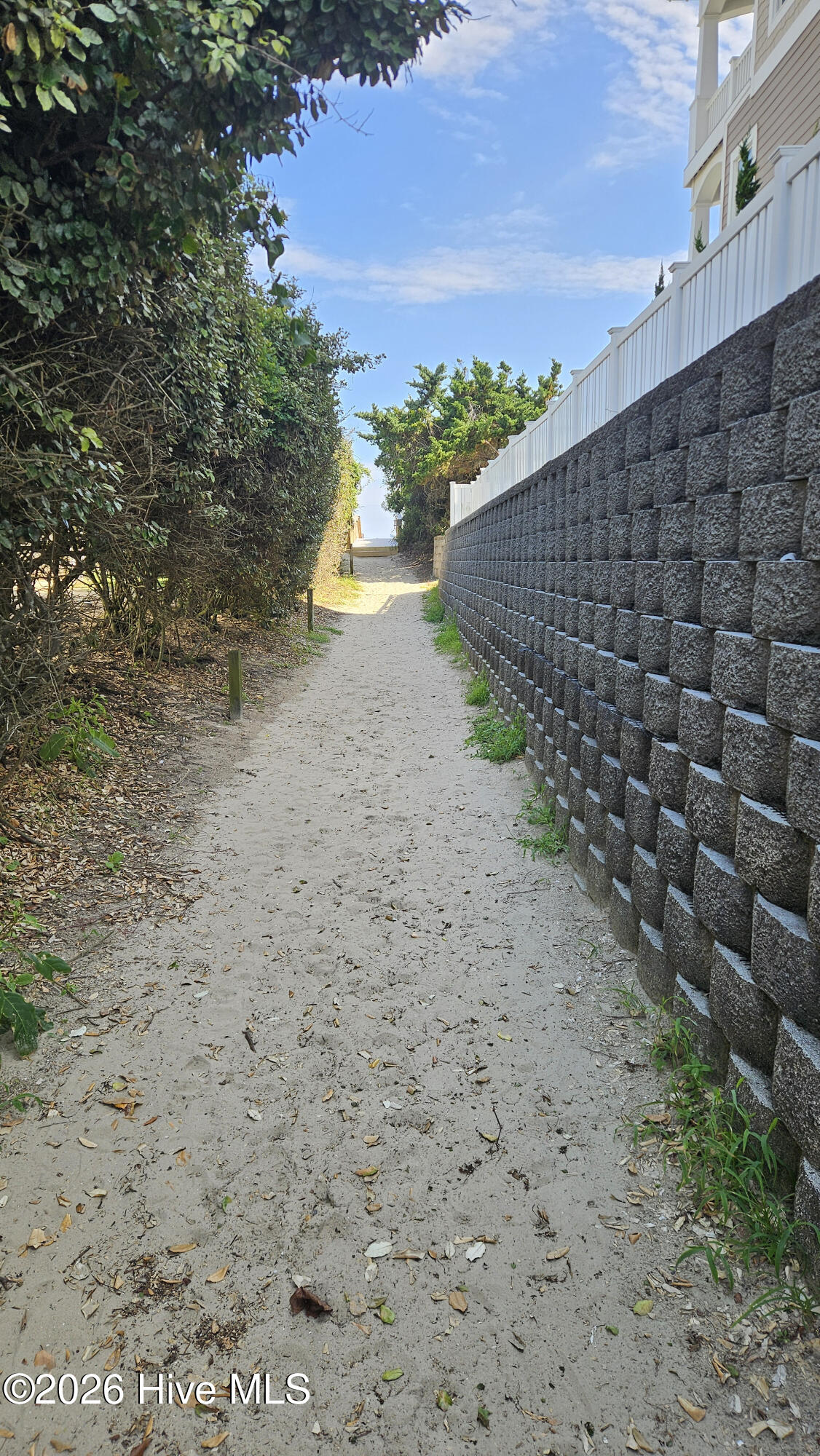 100559366 | Photo 29