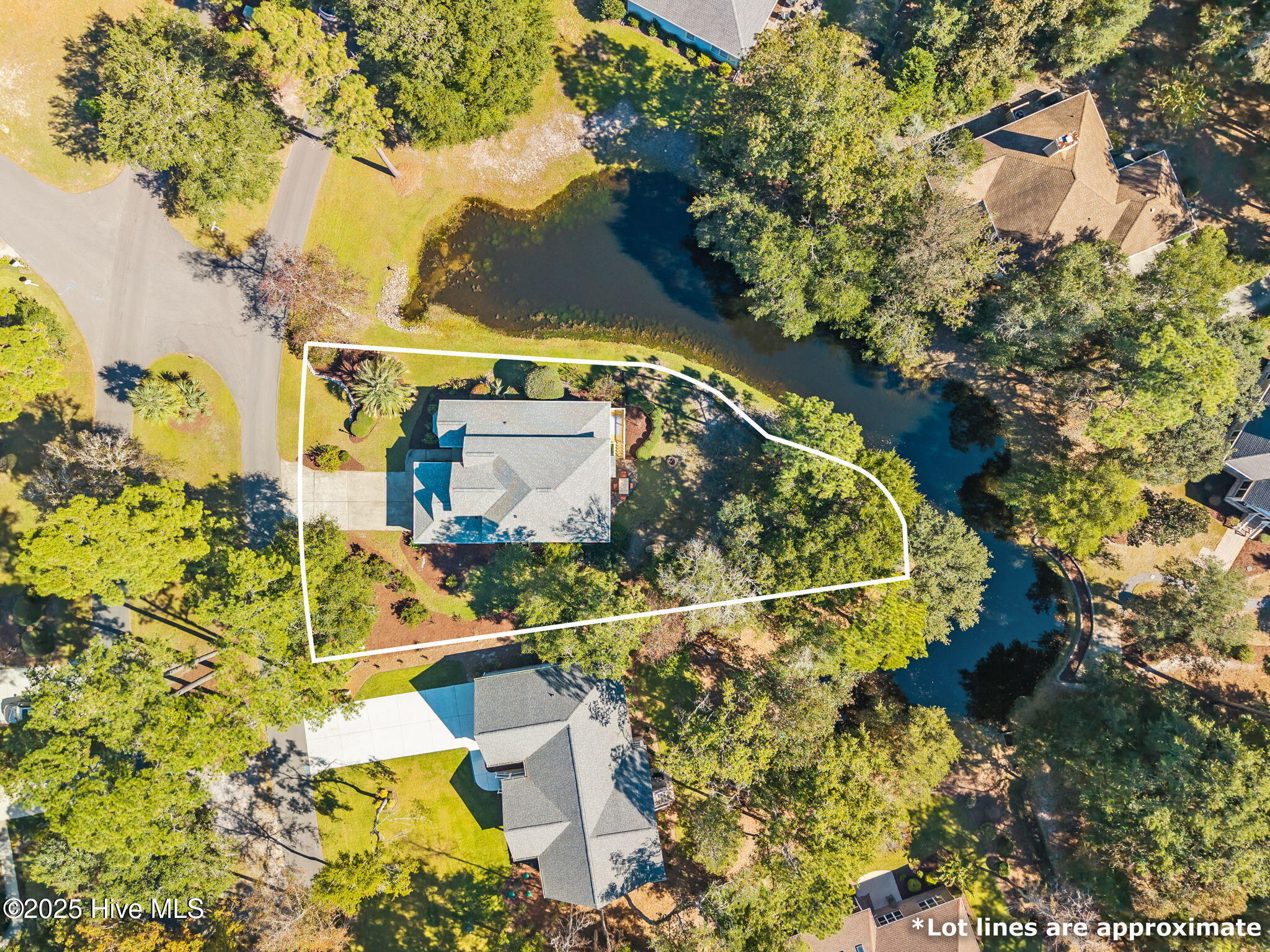 100537506 | Photo 66