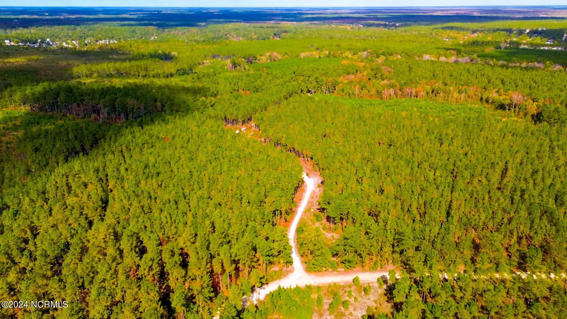 100429451 | Photo 15